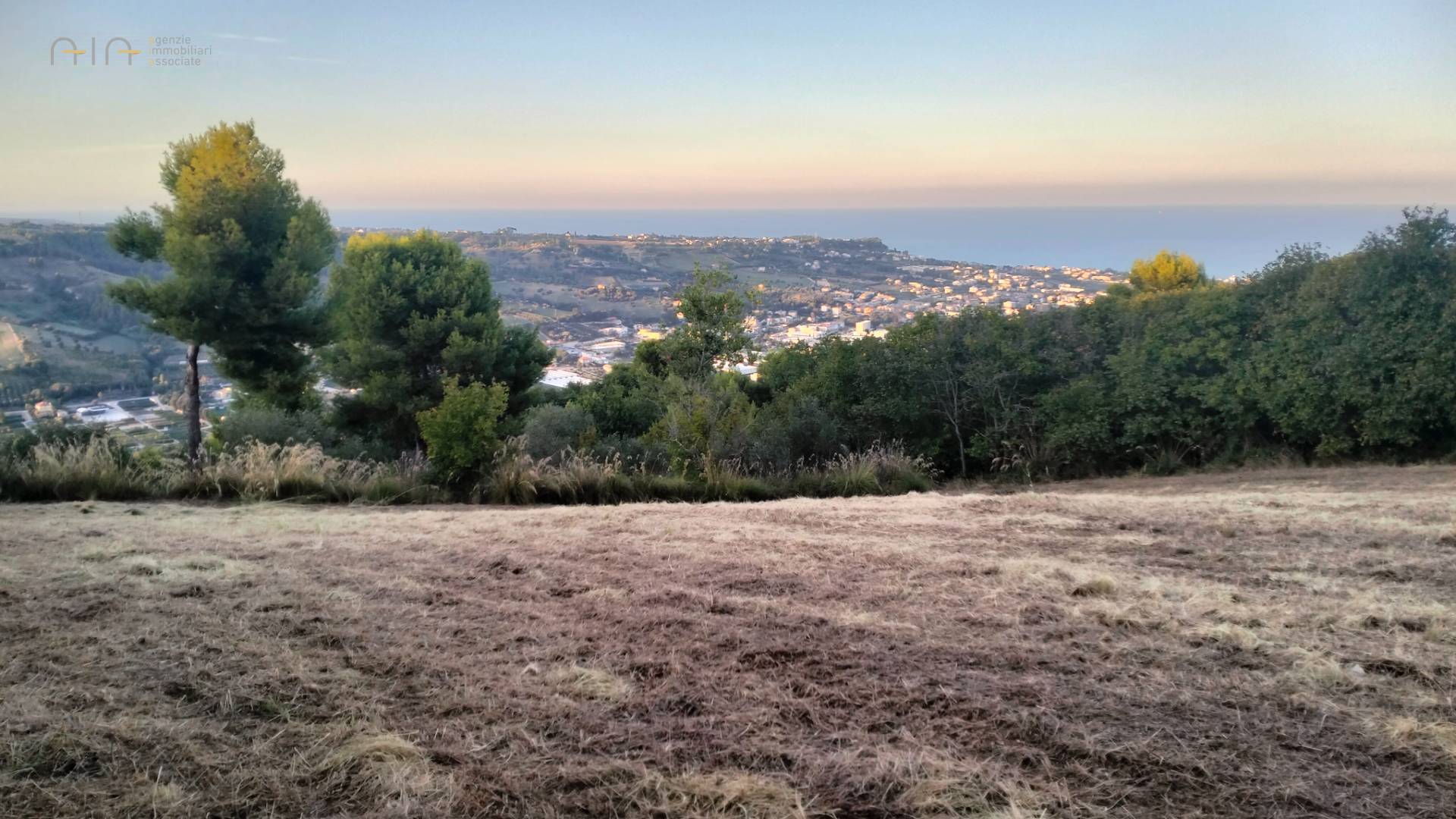 immagine annuncio 5 di 7