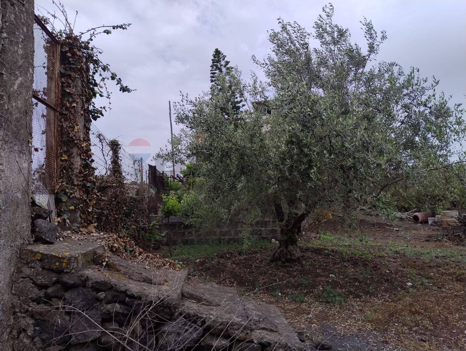 terreno agricolo in vendita a Bellagio in zona San Giovanni