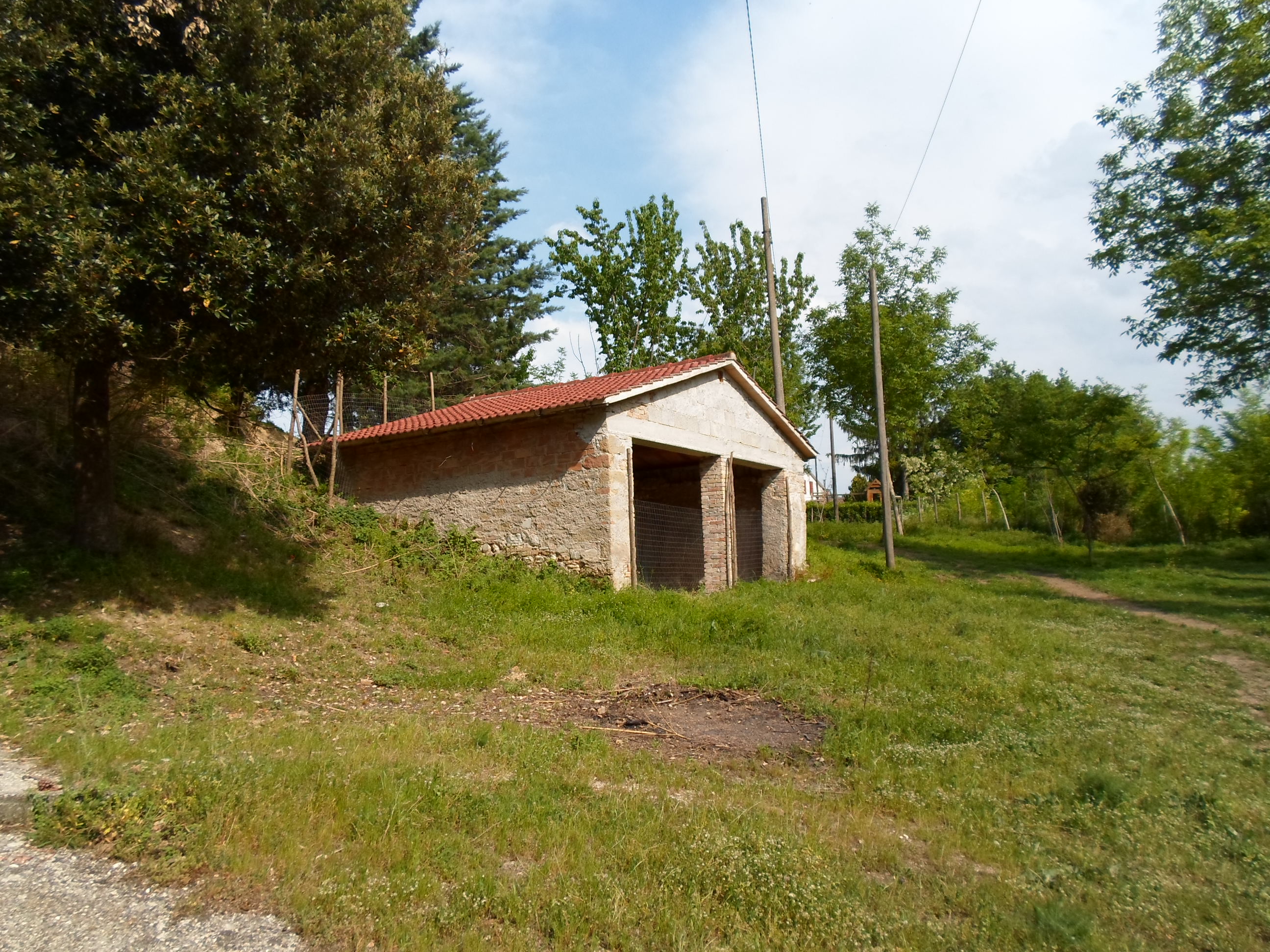 immagine annuncio 9 di 15