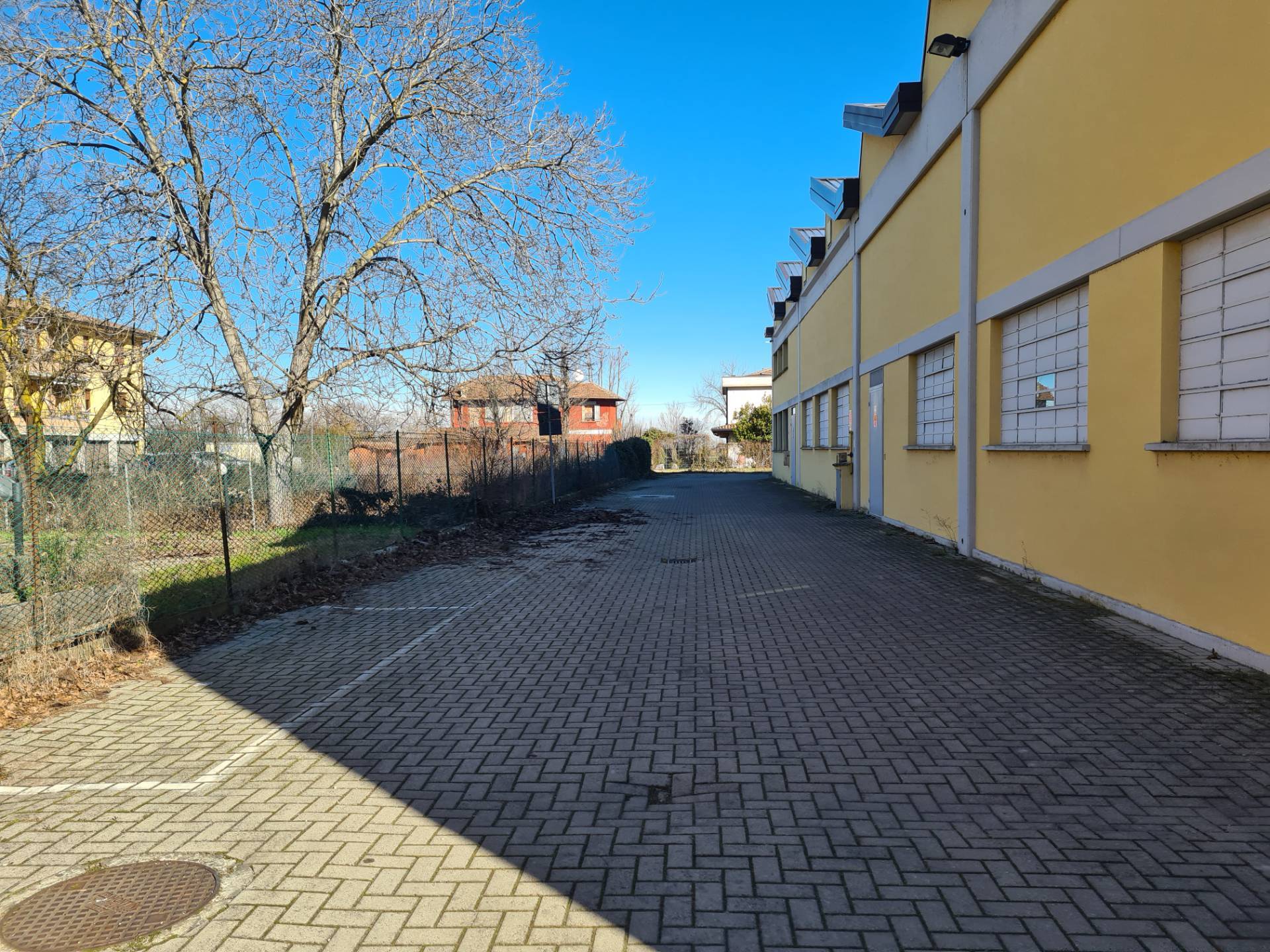immagine annuncio 8 di 15