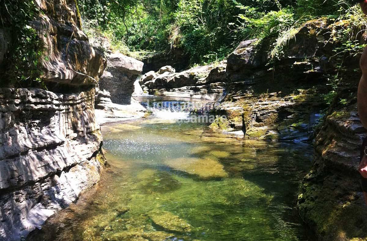 immagine annuncio 2 di 9