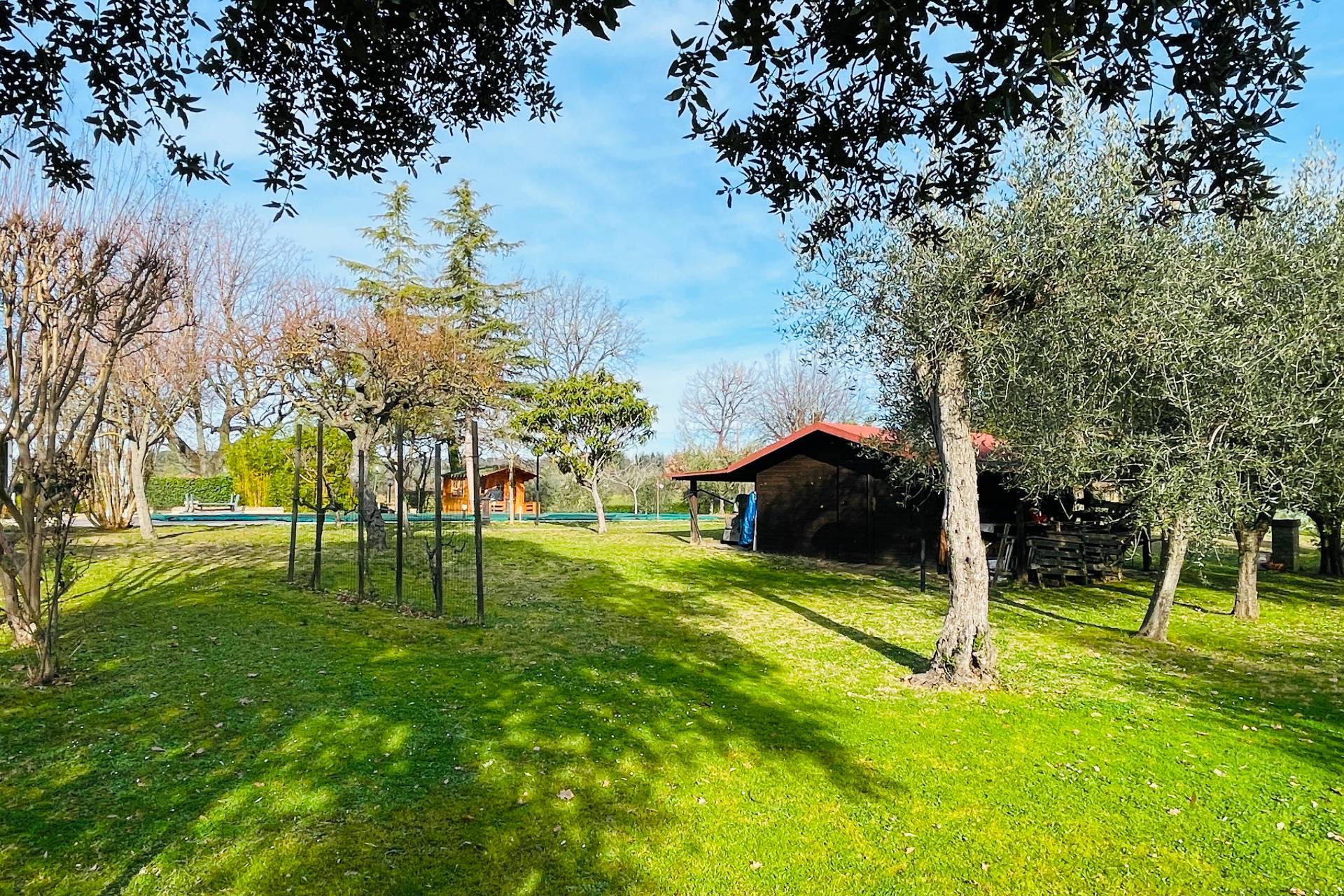 immagine annuncio 10 di 15
