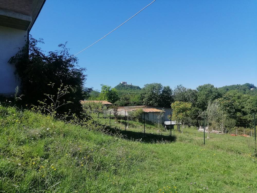 immagine annuncio 9 di 13