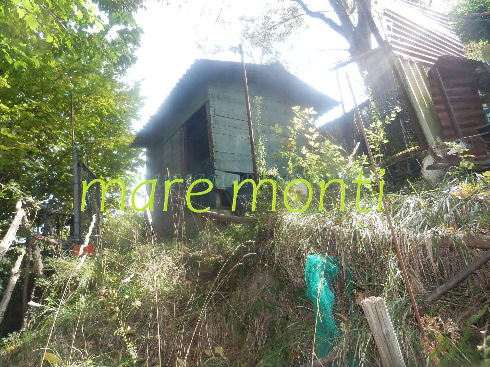 casa indipendente in vendita a Savona in zona Cimavalle / Botta