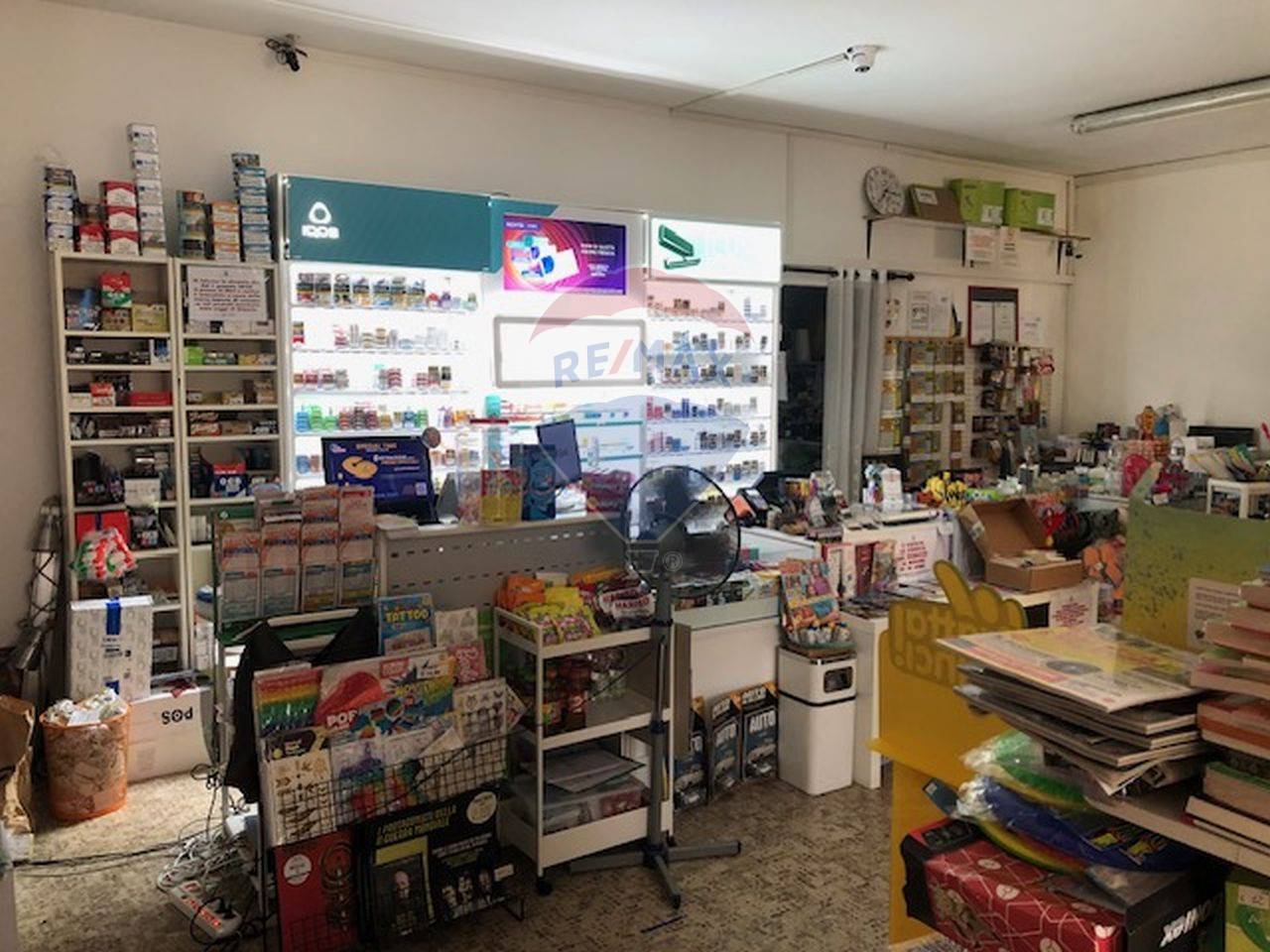 immagine annuncio 7 di 14