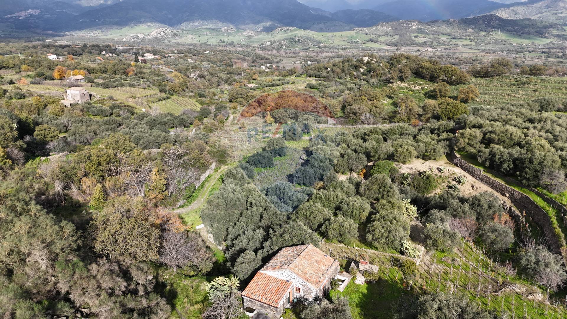 casa indipendente in vendita a Ravenna in zona Castiglione di Ravenna