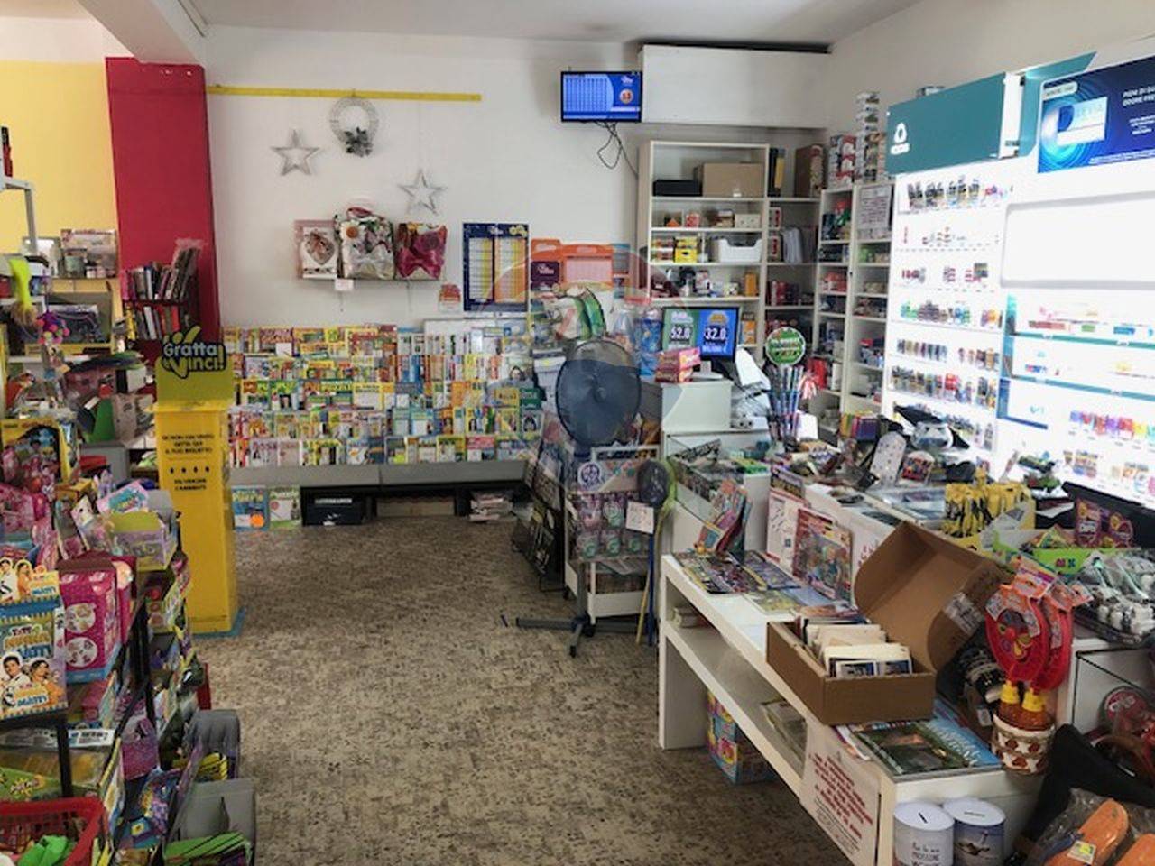 immagine annuncio 1 di 14