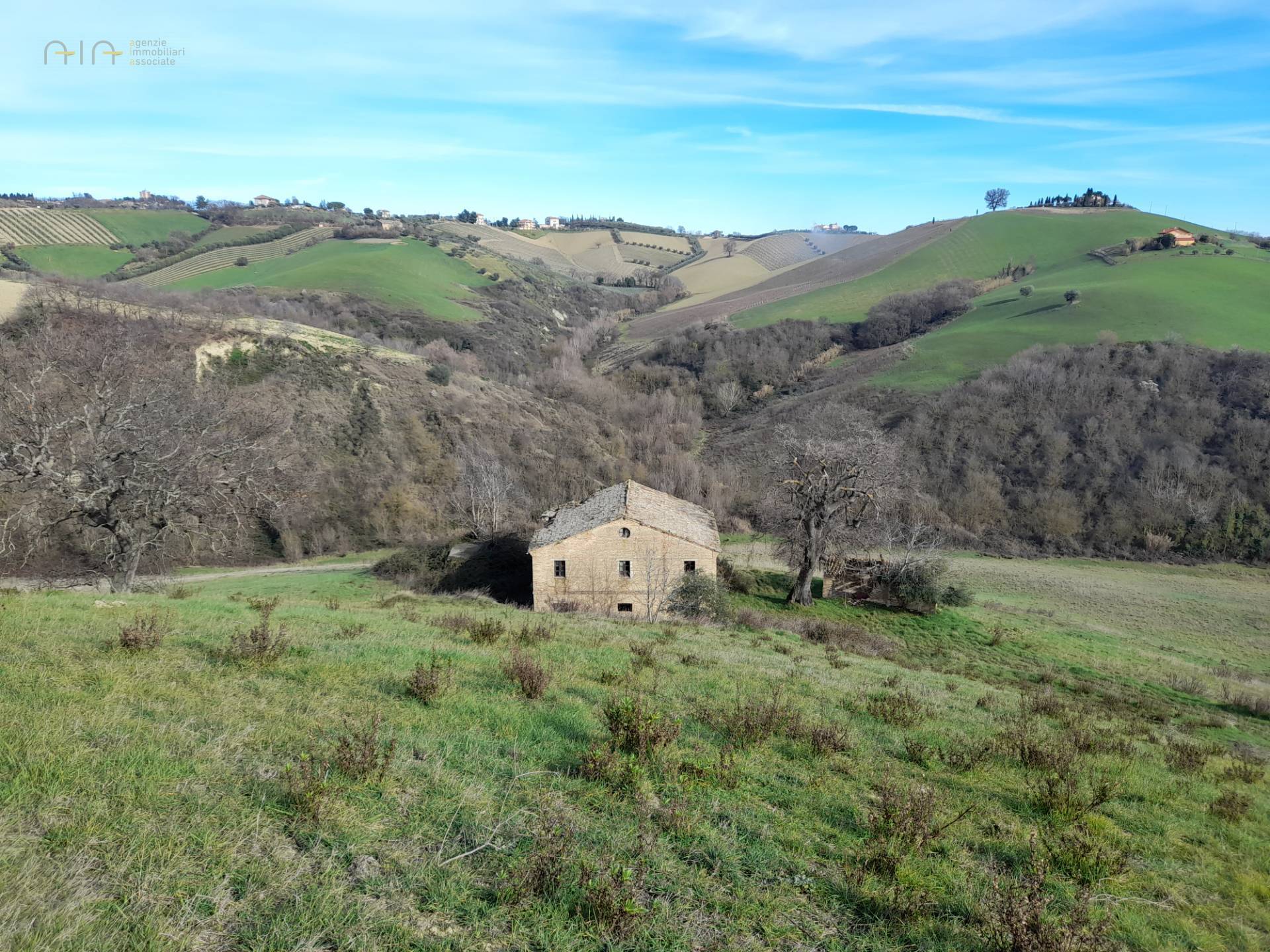 immagine annuncio 1 di 8