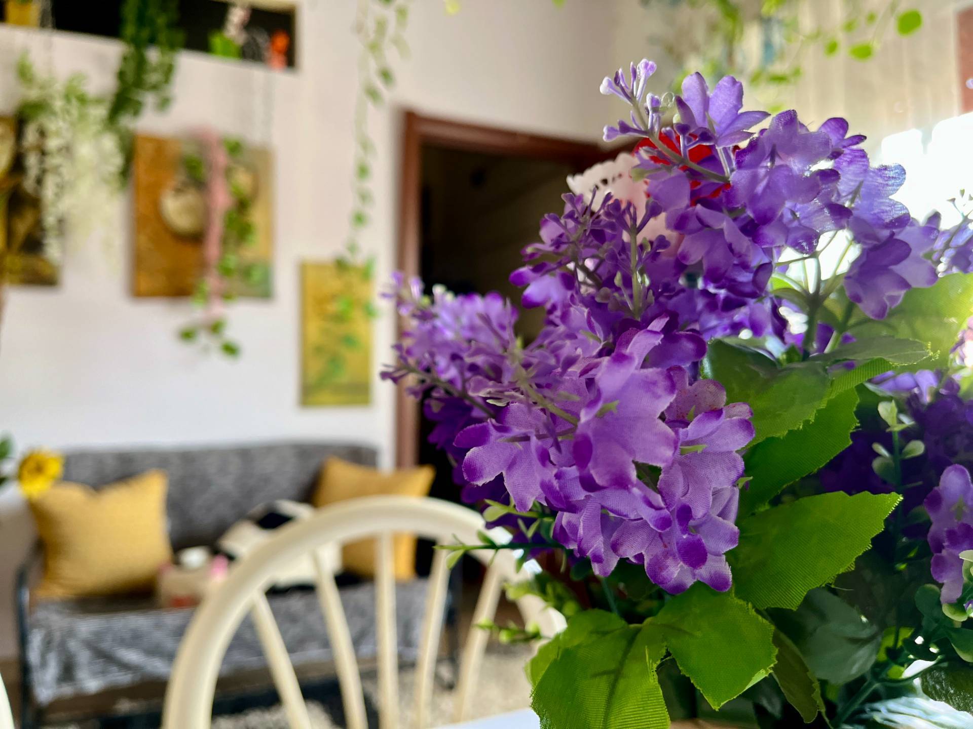 immagine annuncio 12 di 14