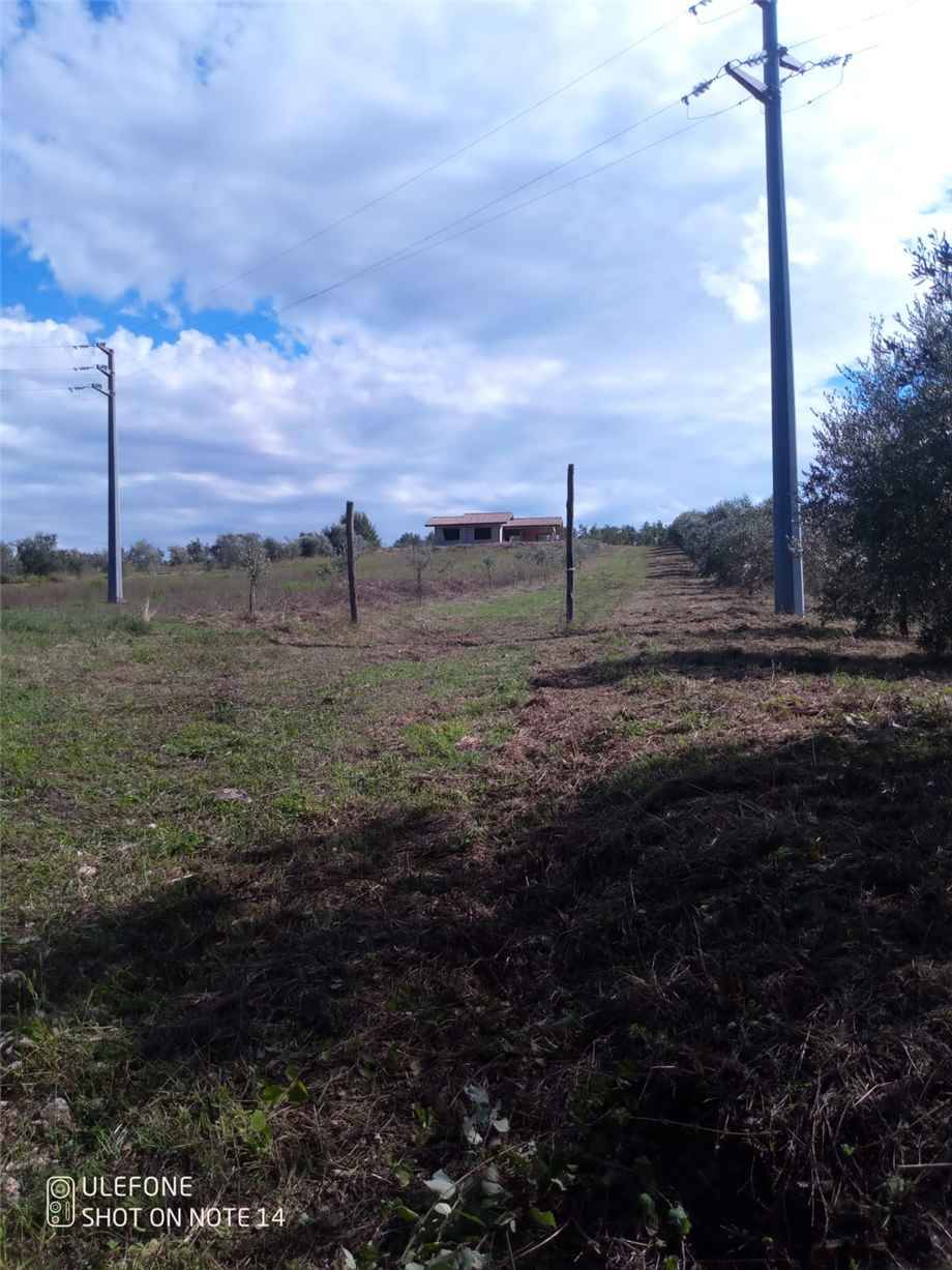 immagine annuncio 6 di 8