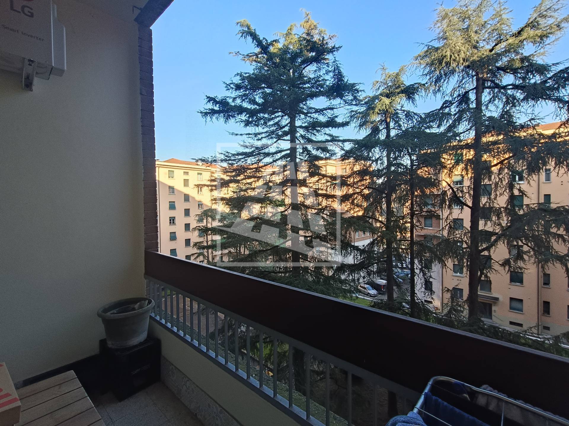 immagine annuncio 5 di 12