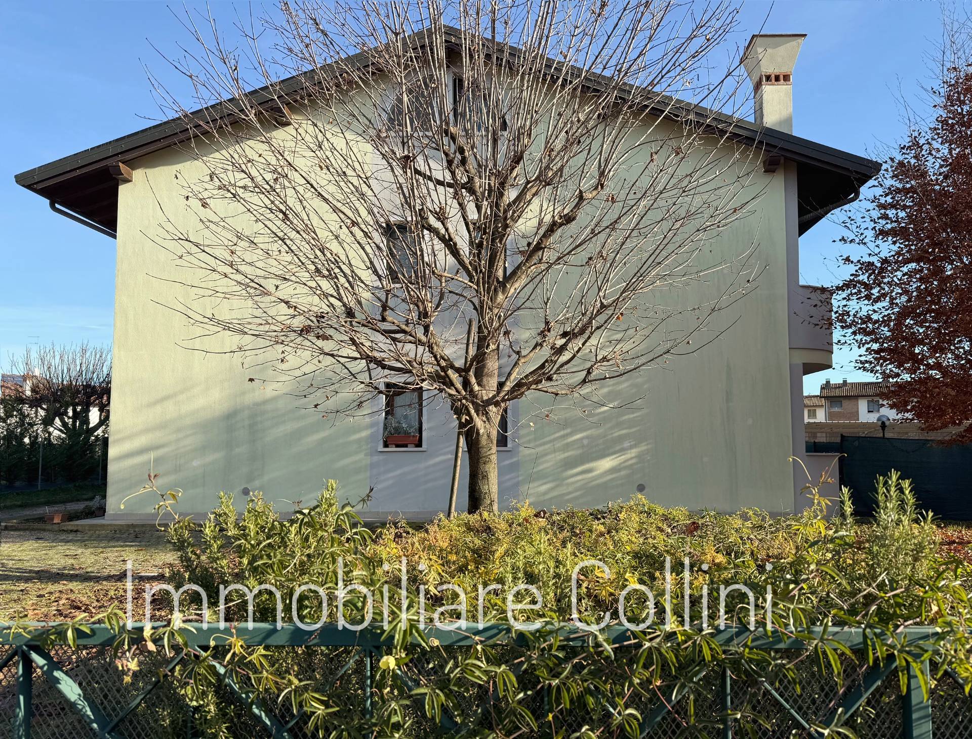 immagine annuncio 13 di 14