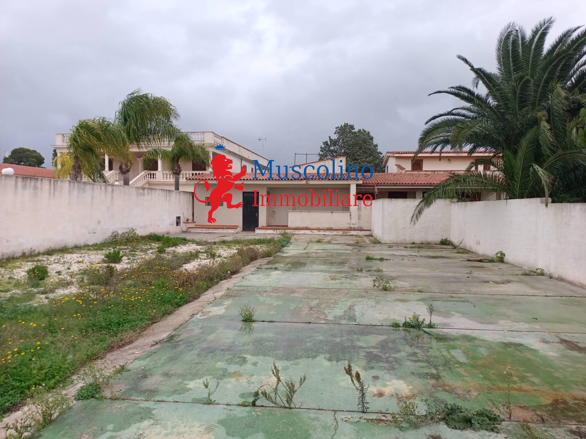 immagine annuncio 1 di 6