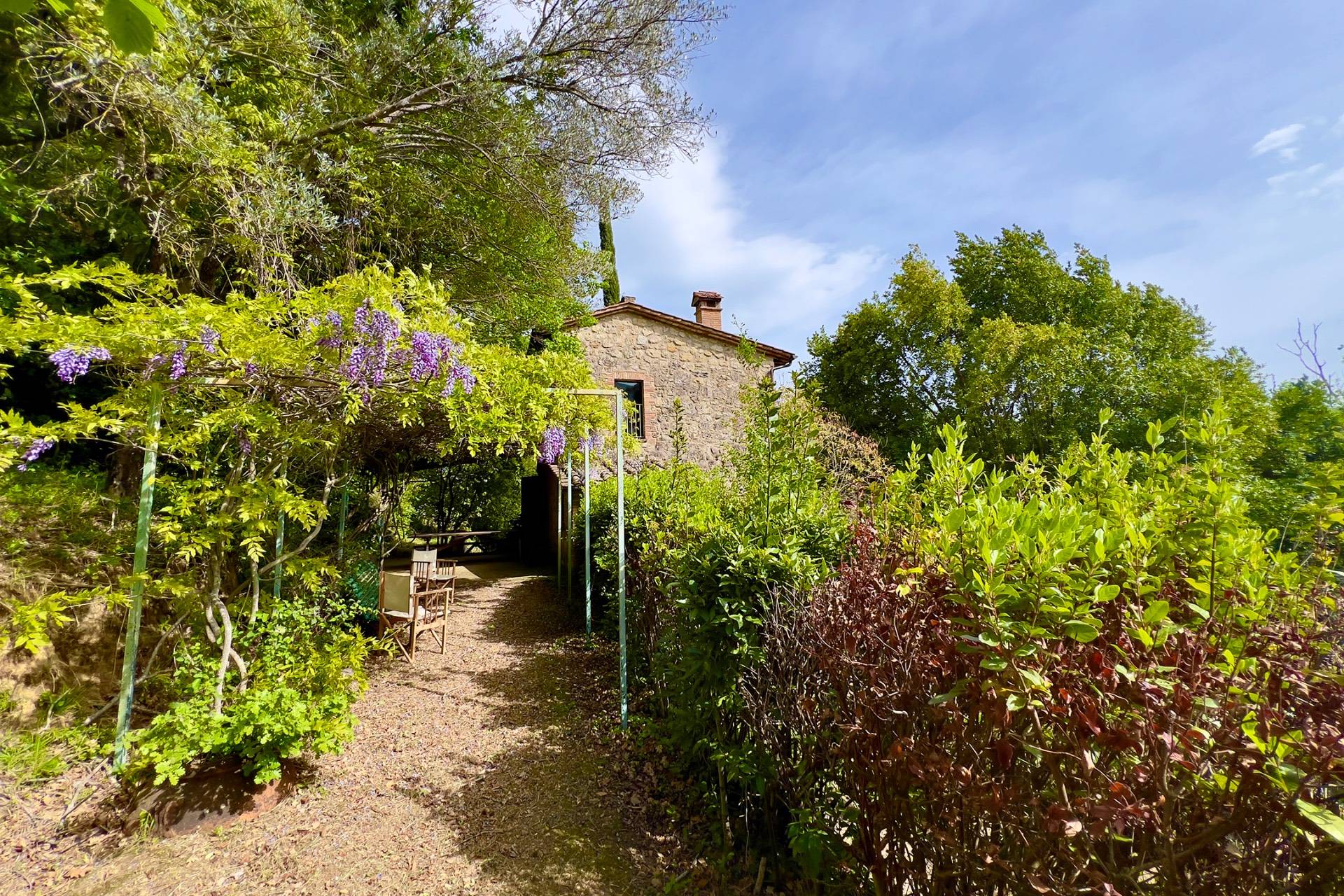 casa indipendente in vendita a Cetona