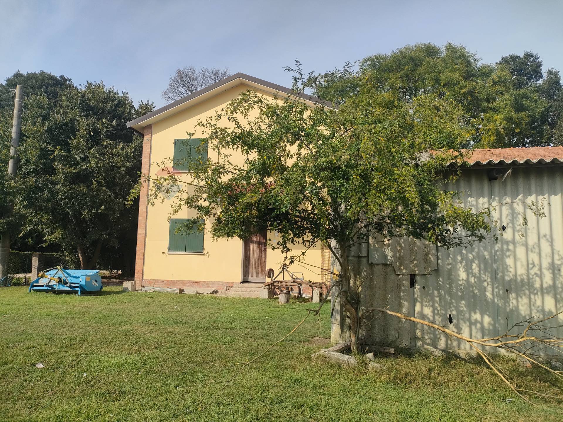 immagine annuncio 4 di 12