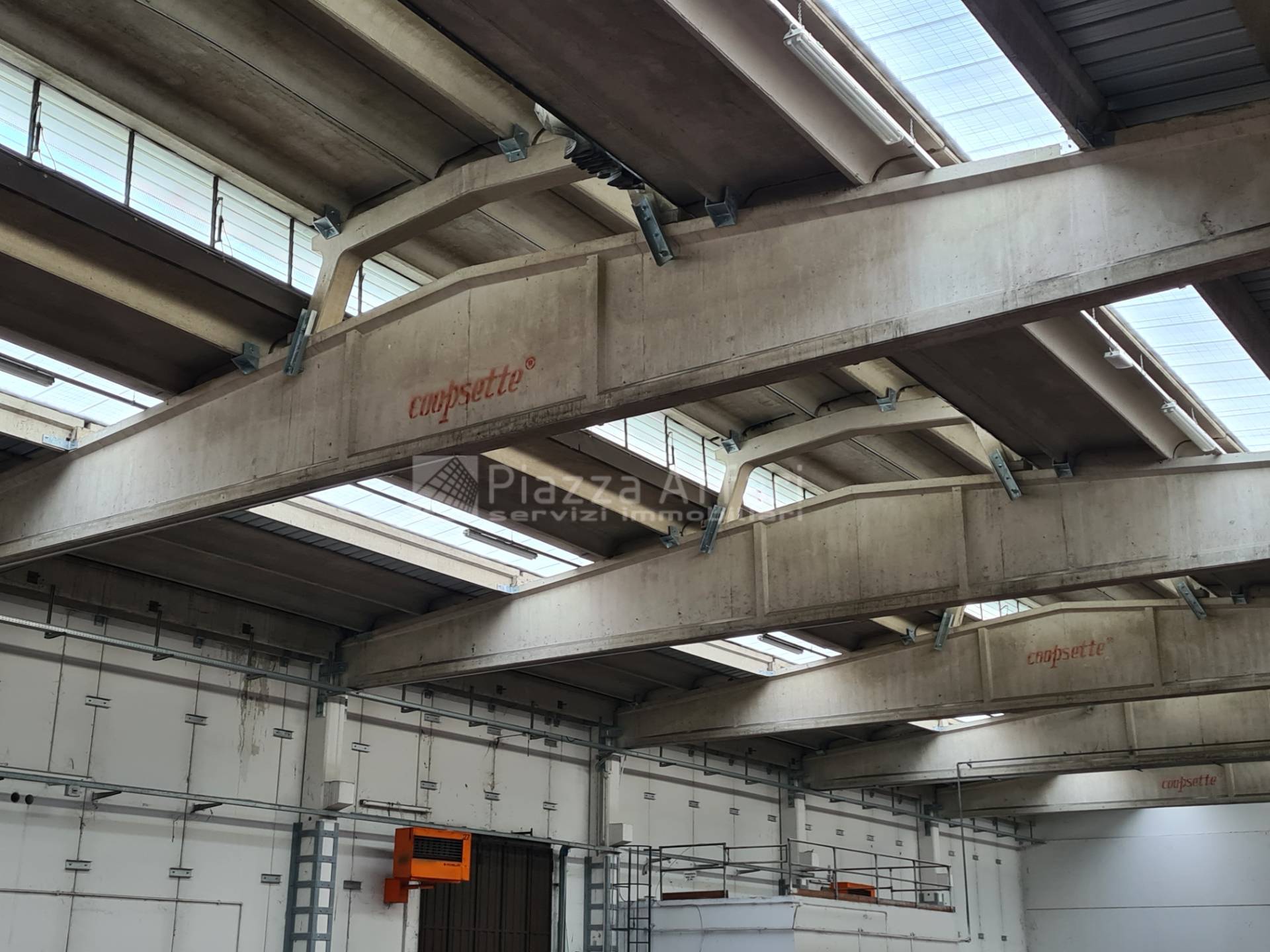 immagine annuncio 1 di 9