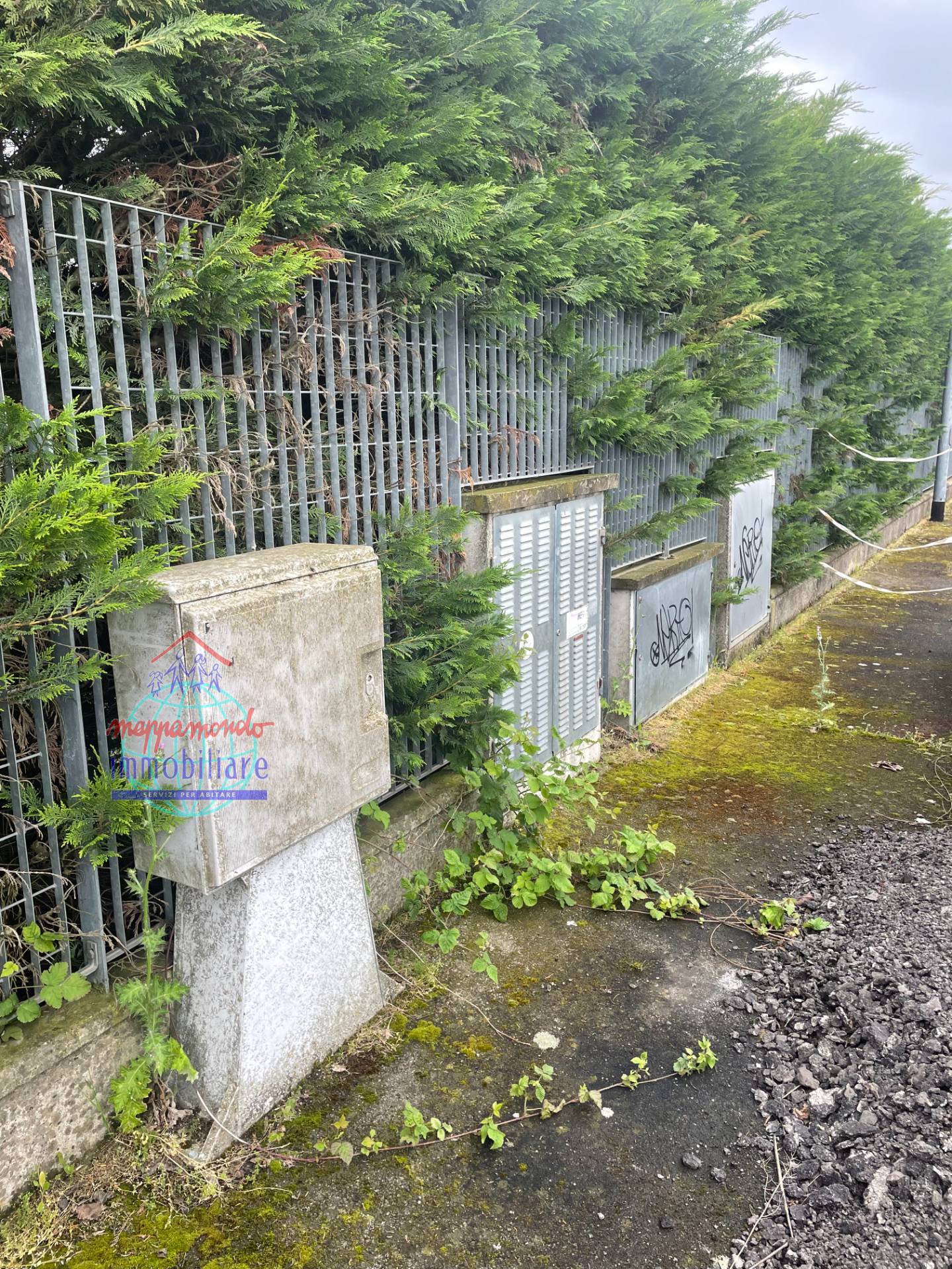 immagine annuncio 4 di 7