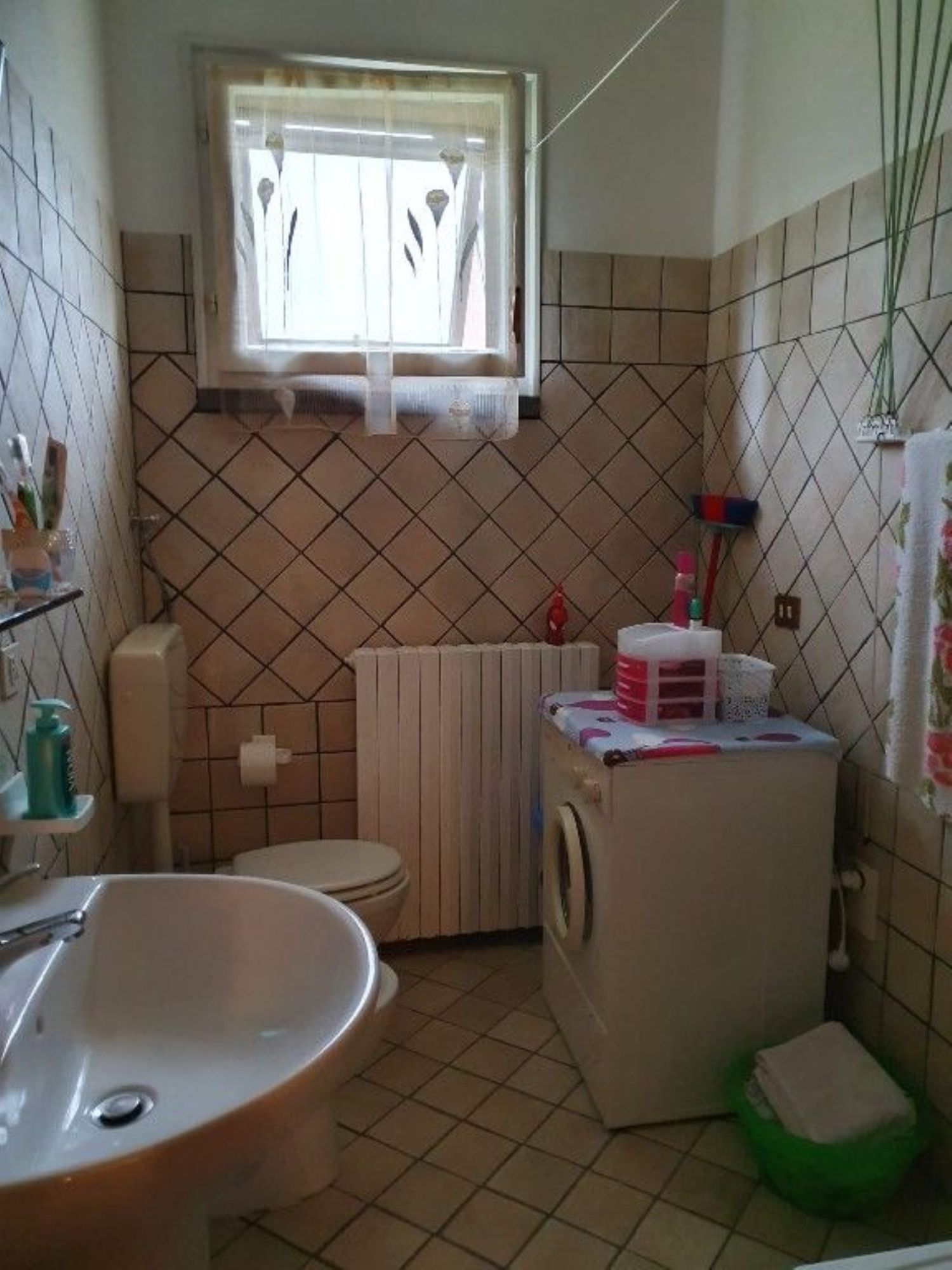 immagine annuncio 8 di 12