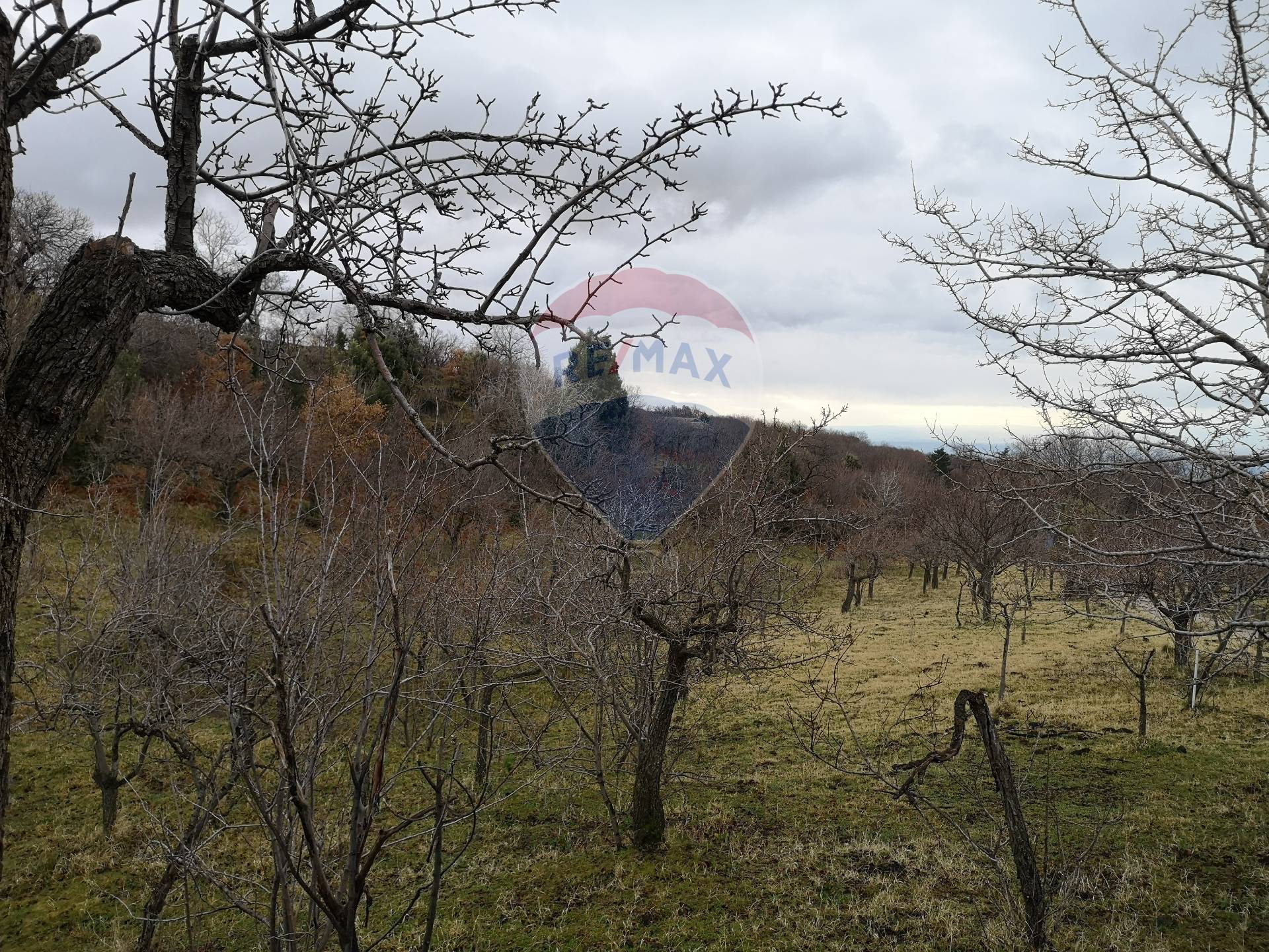 terreno agricolo in vendita a Biancavilla