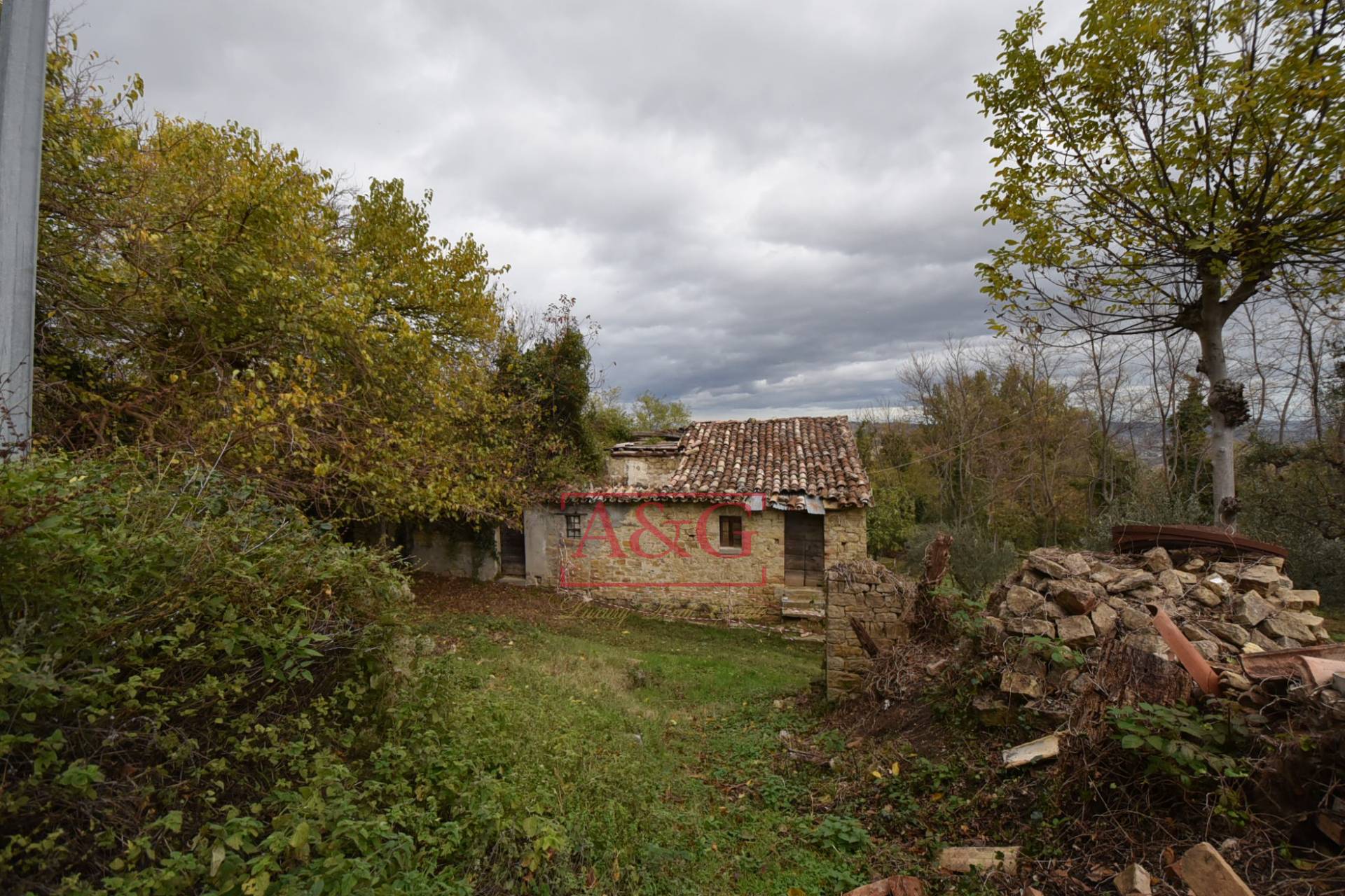 immagine annuncio 8 di 15