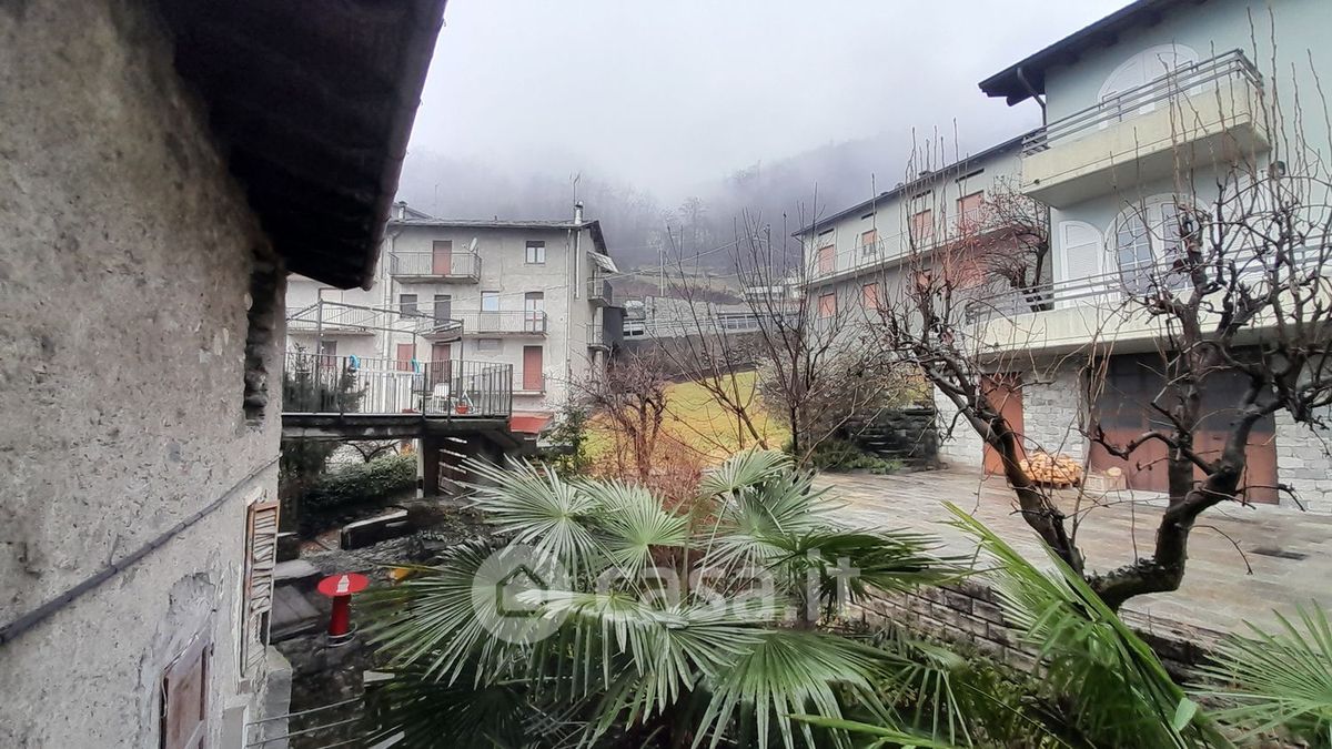 immagine annuncio 2 di 4