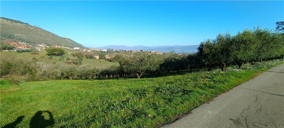 immagine annuncio 5 di 11