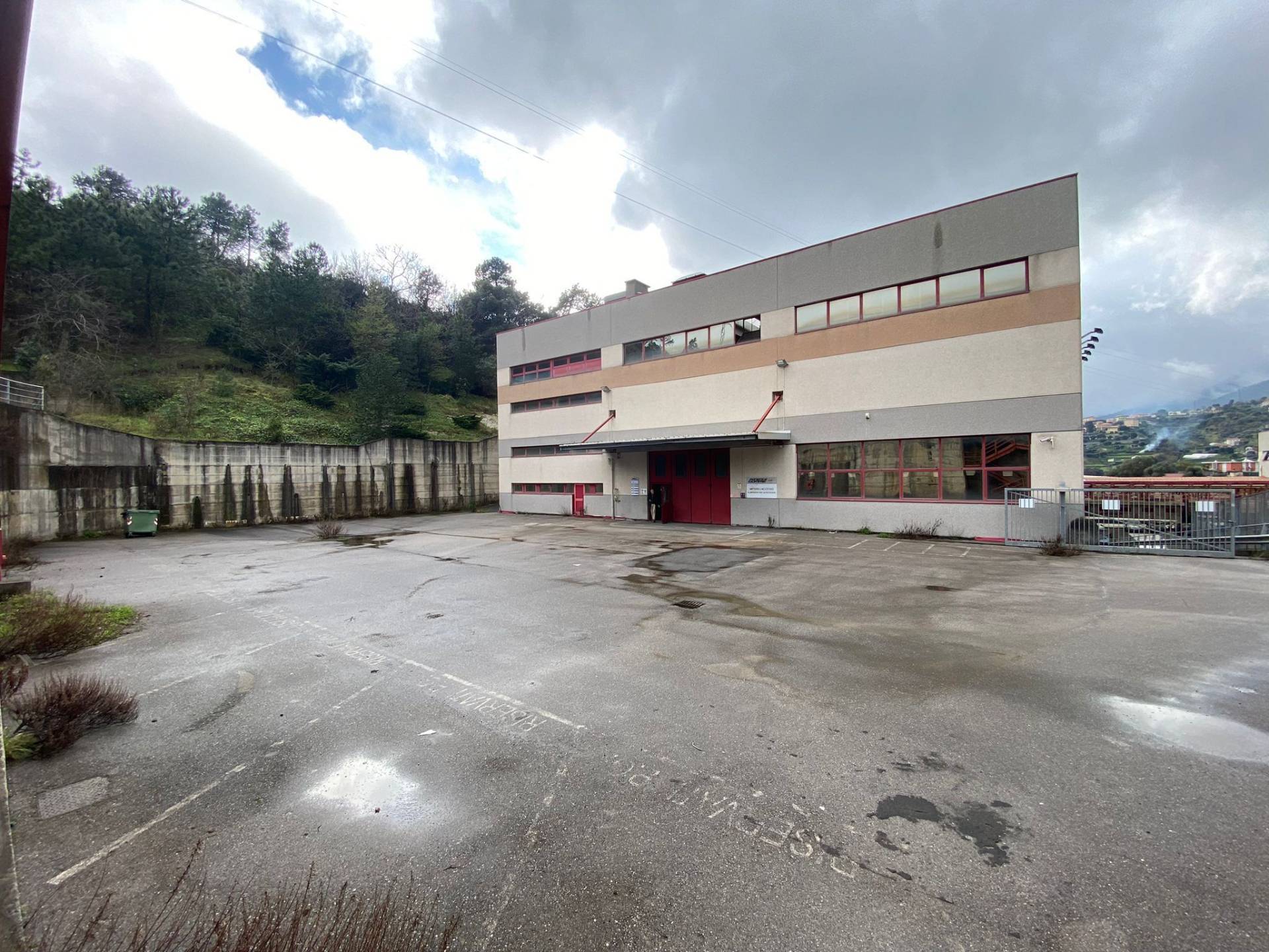 immagine annuncio 9 di 15