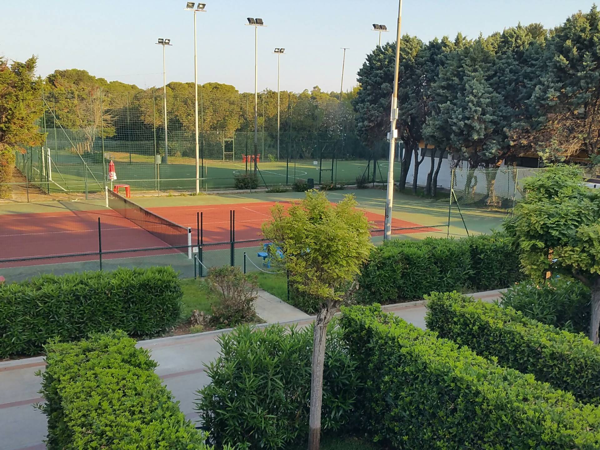 immagine annuncio 5 di 9