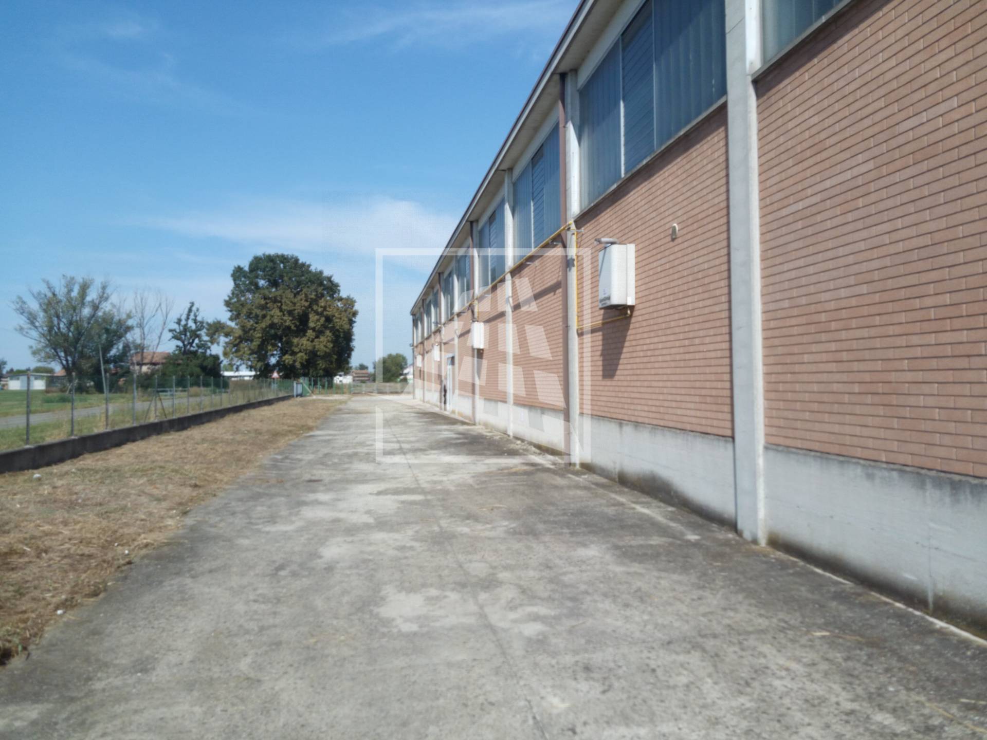 immagine annuncio 8 di 12