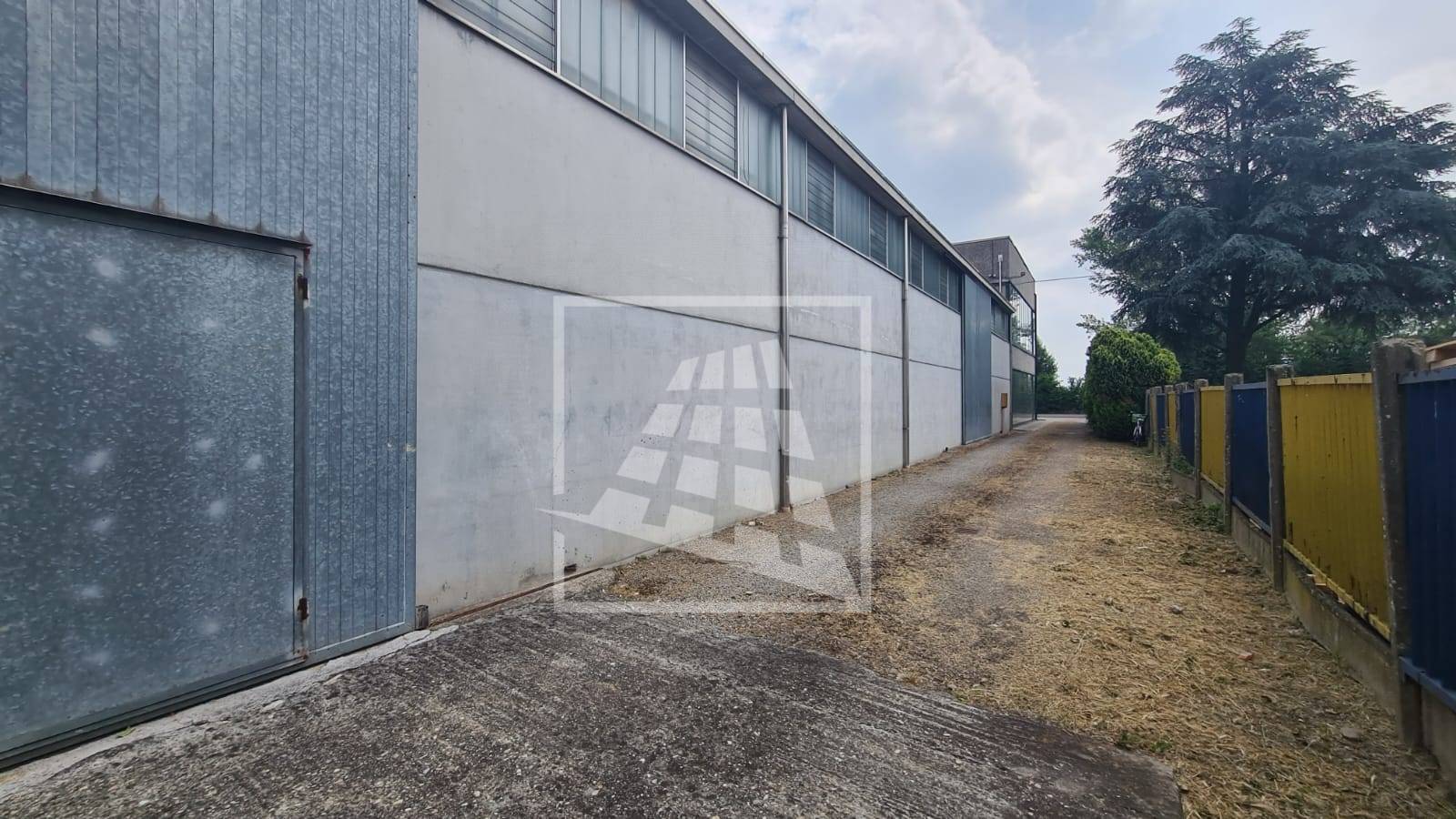 immagine annuncio 11 di 14