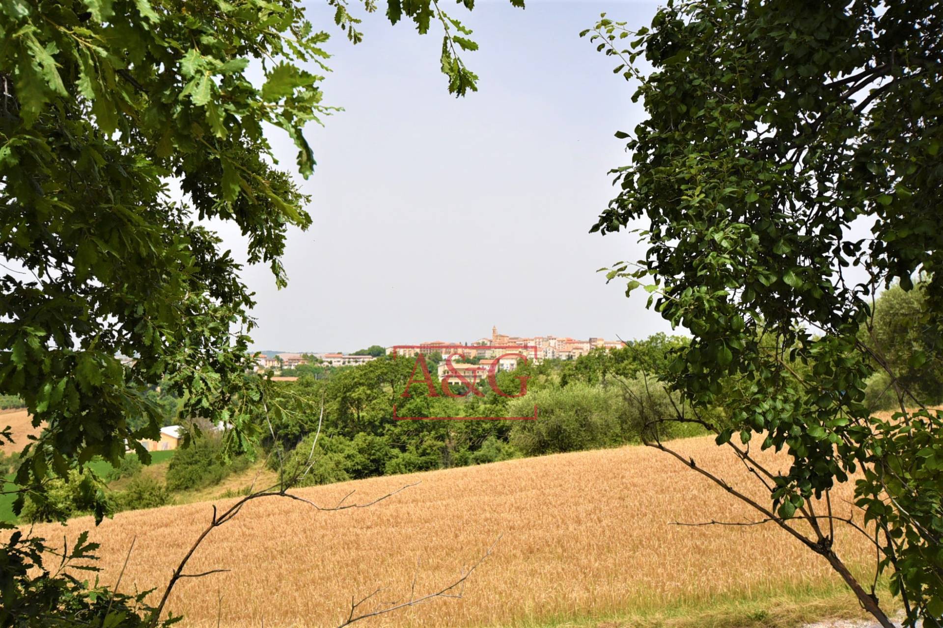 immagine annuncio 9 di 12