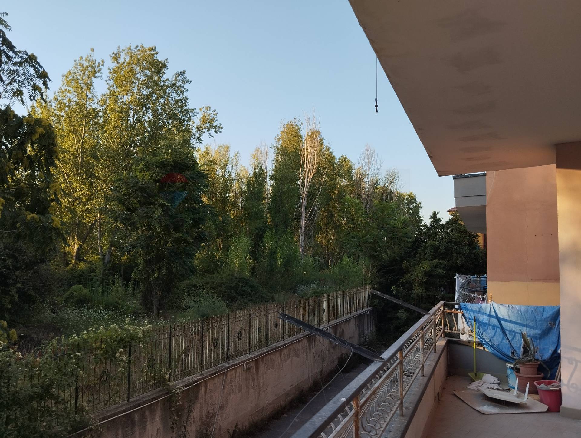 immagine annuncio 4 di 9