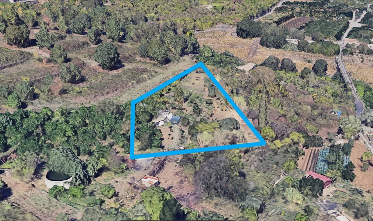 immagine annuncio 13 di 14