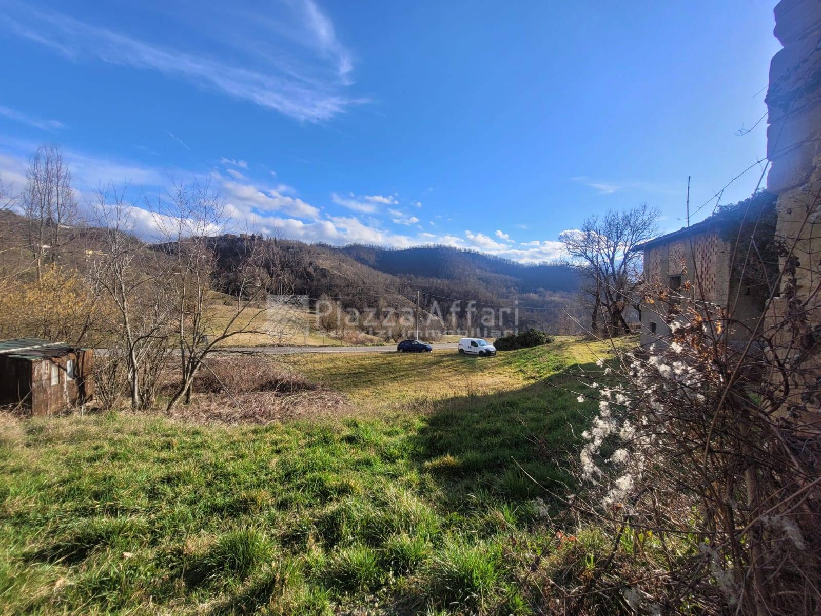 immagine annuncio 9 di 12