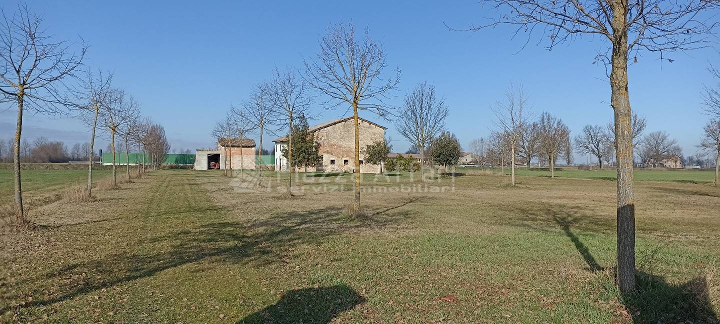 immagine annuncio 3 di 12