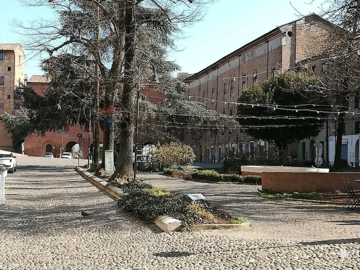 immagine annuncio 2 di 9