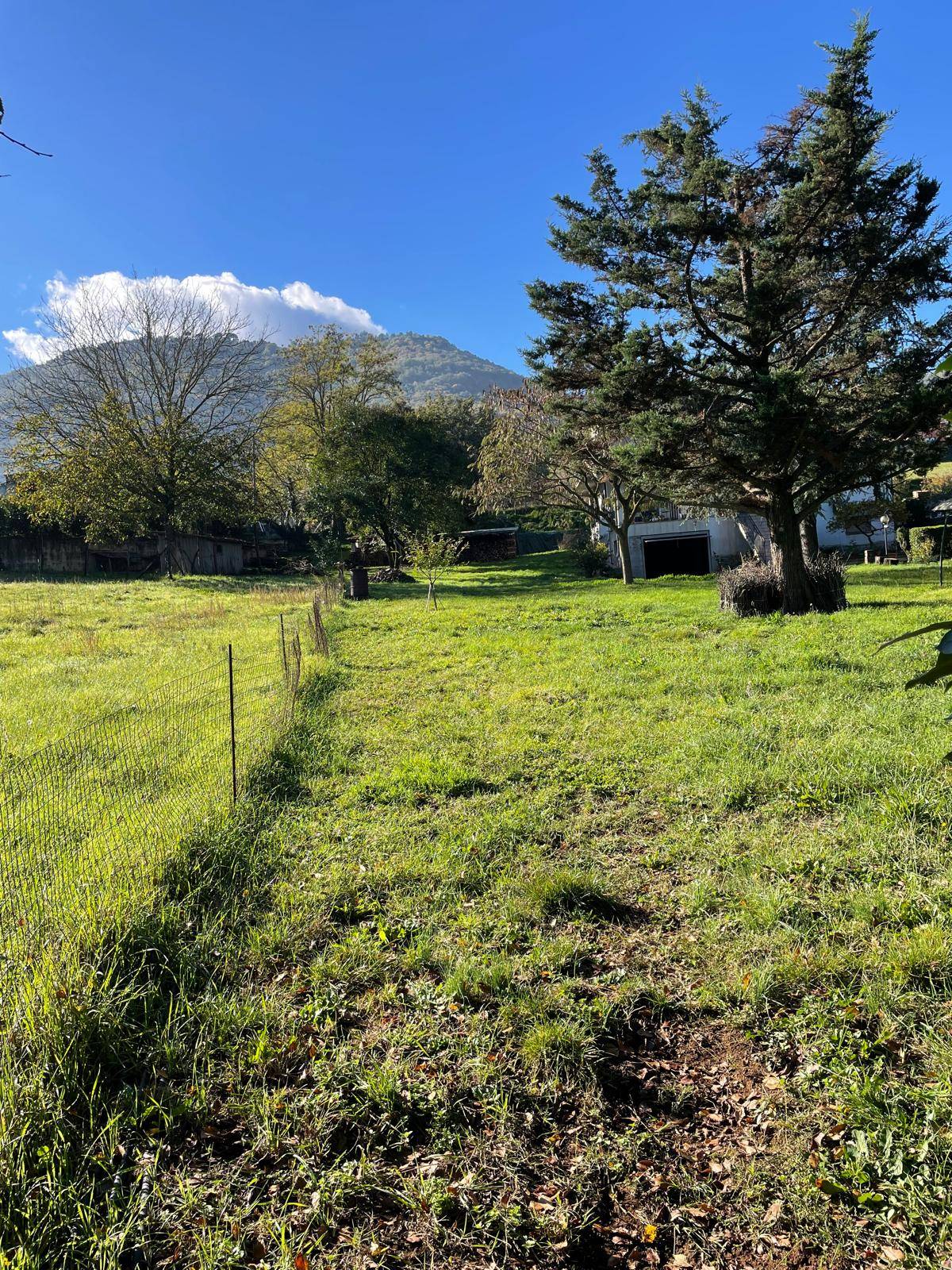 casa indipendente in vendita a Segni