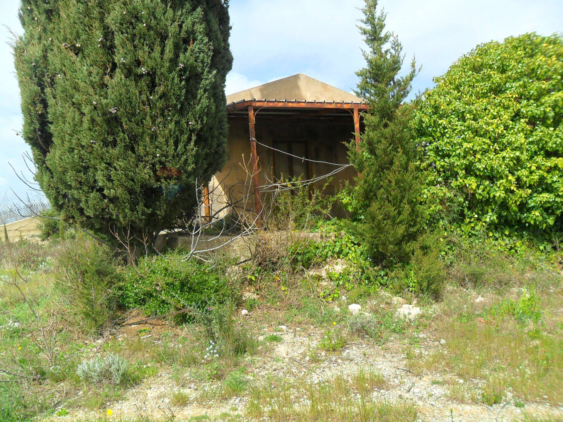 immagine annuncio 3 di 8