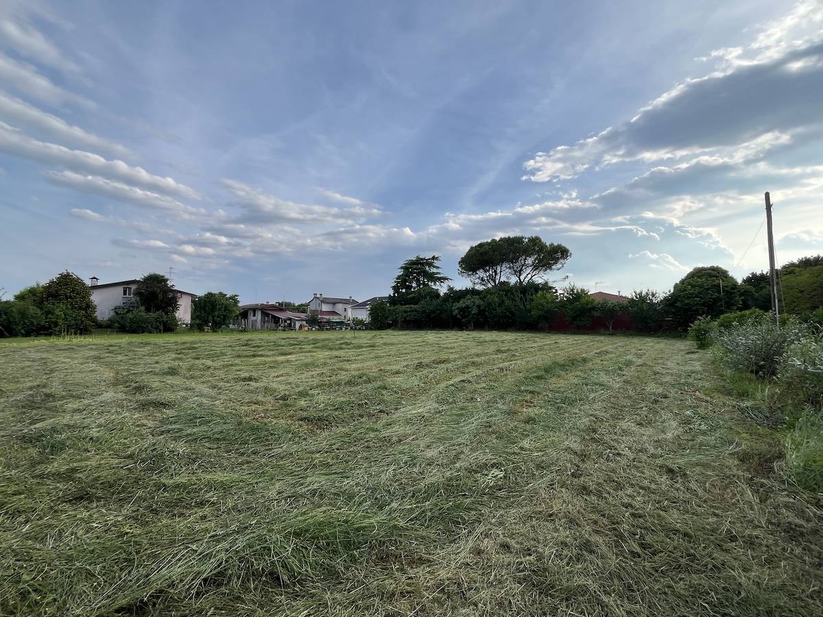 immagine annuncio 1 di 2