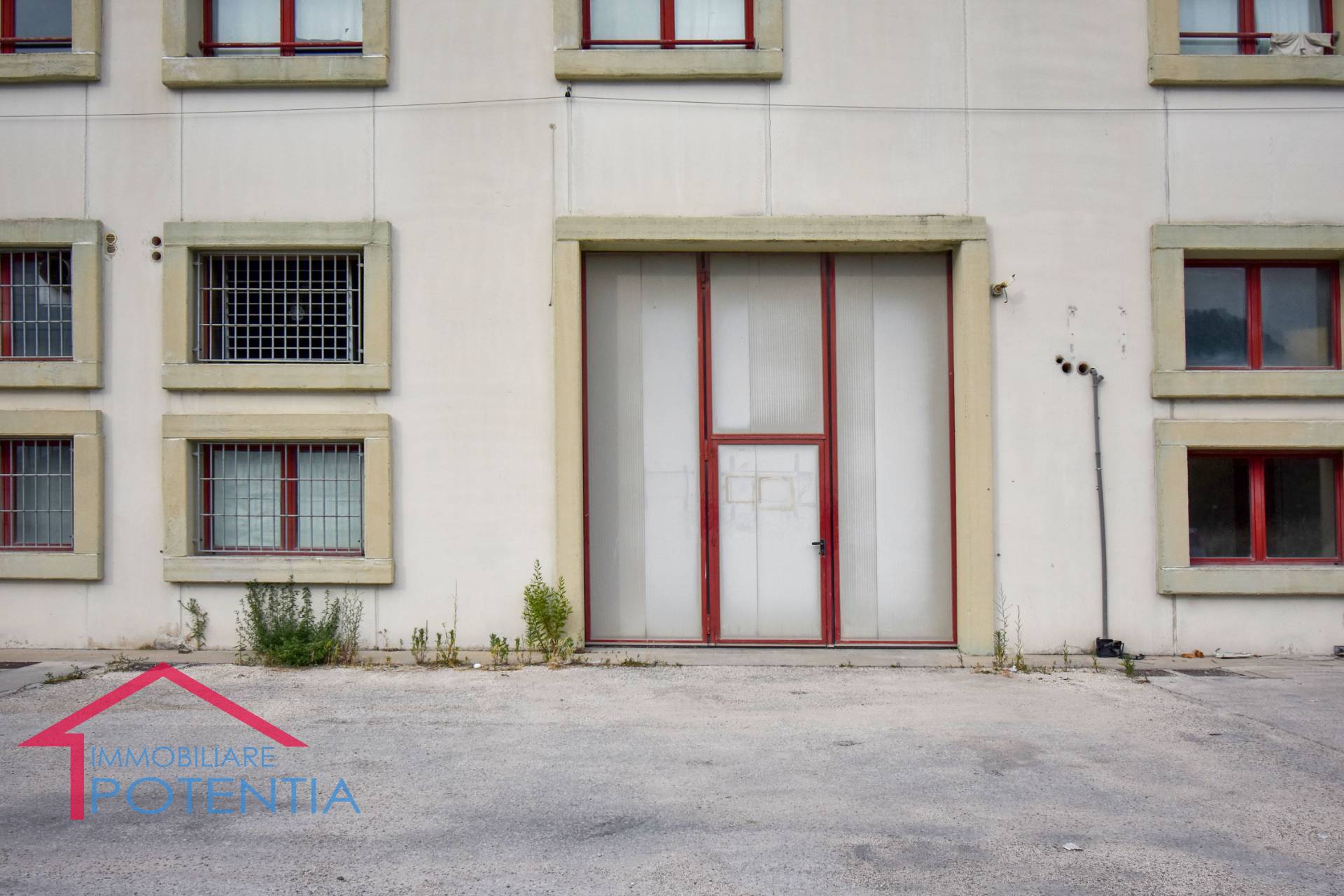 immagine annuncio 1 di 9