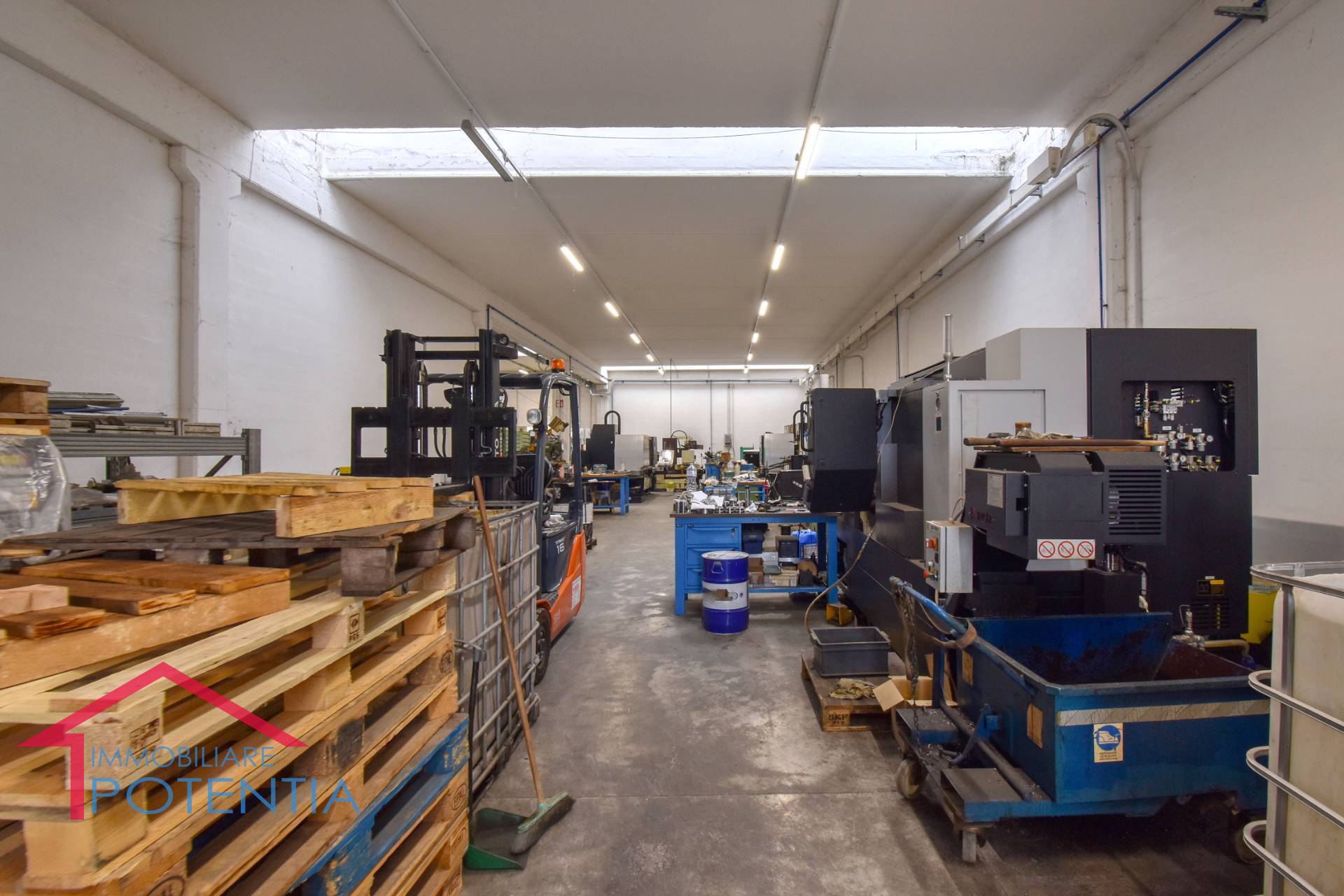 immagine annuncio 3 di 9