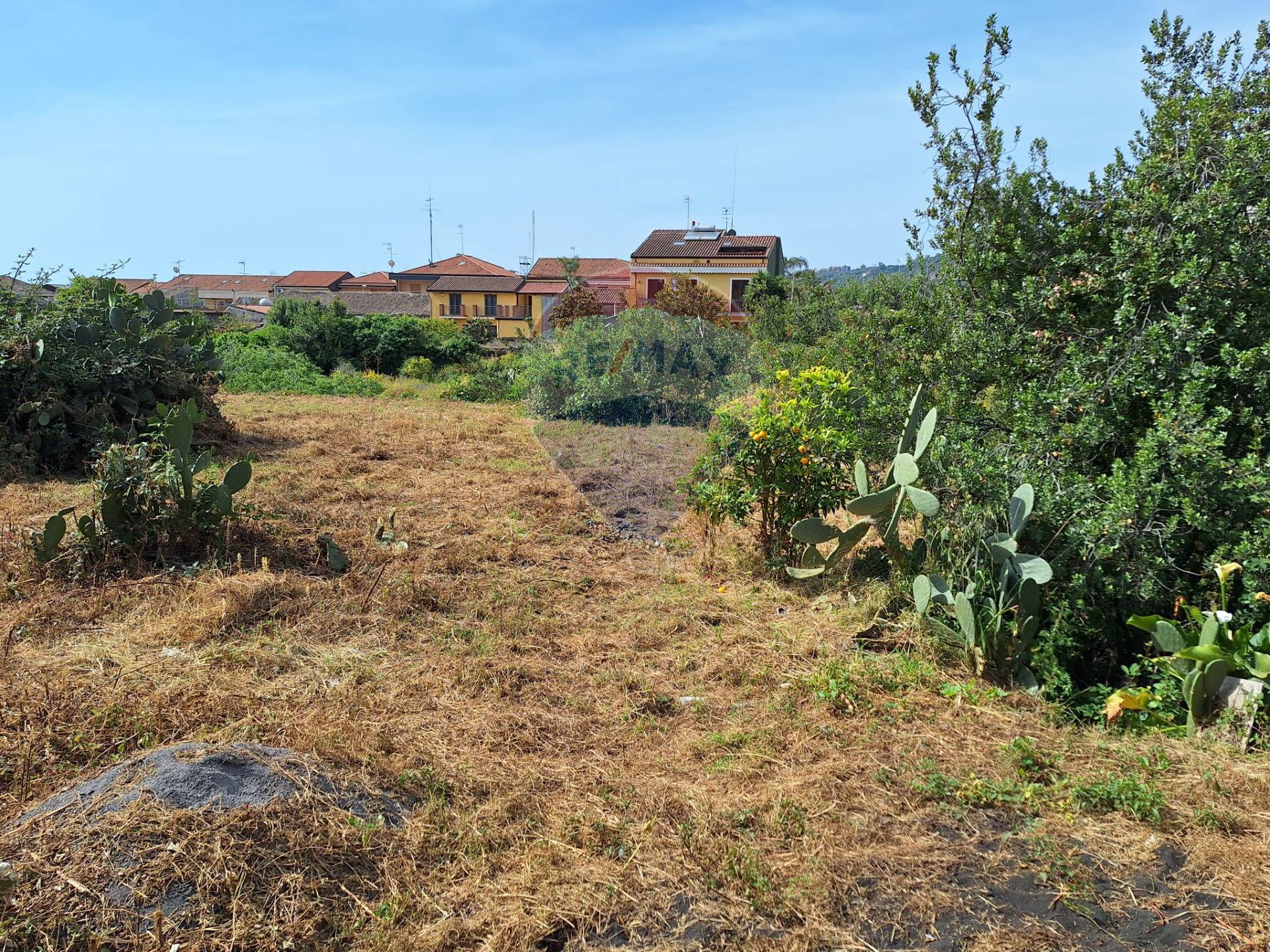 casa indipendente in vendita ad Acireale