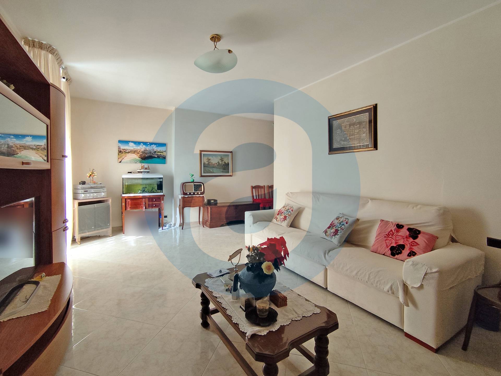 immagine annuncio 0 di 15