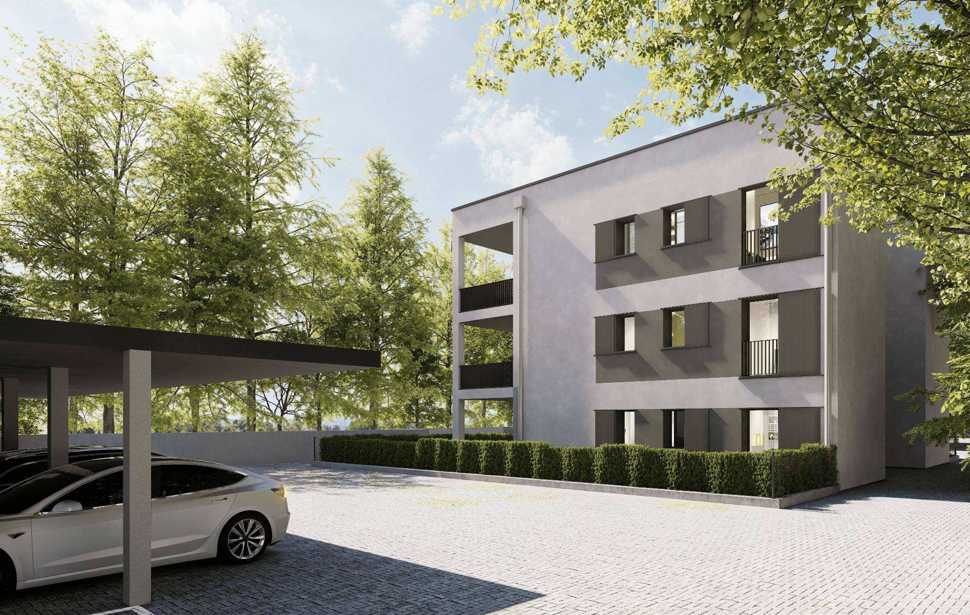 immagine annuncio 9 di 14