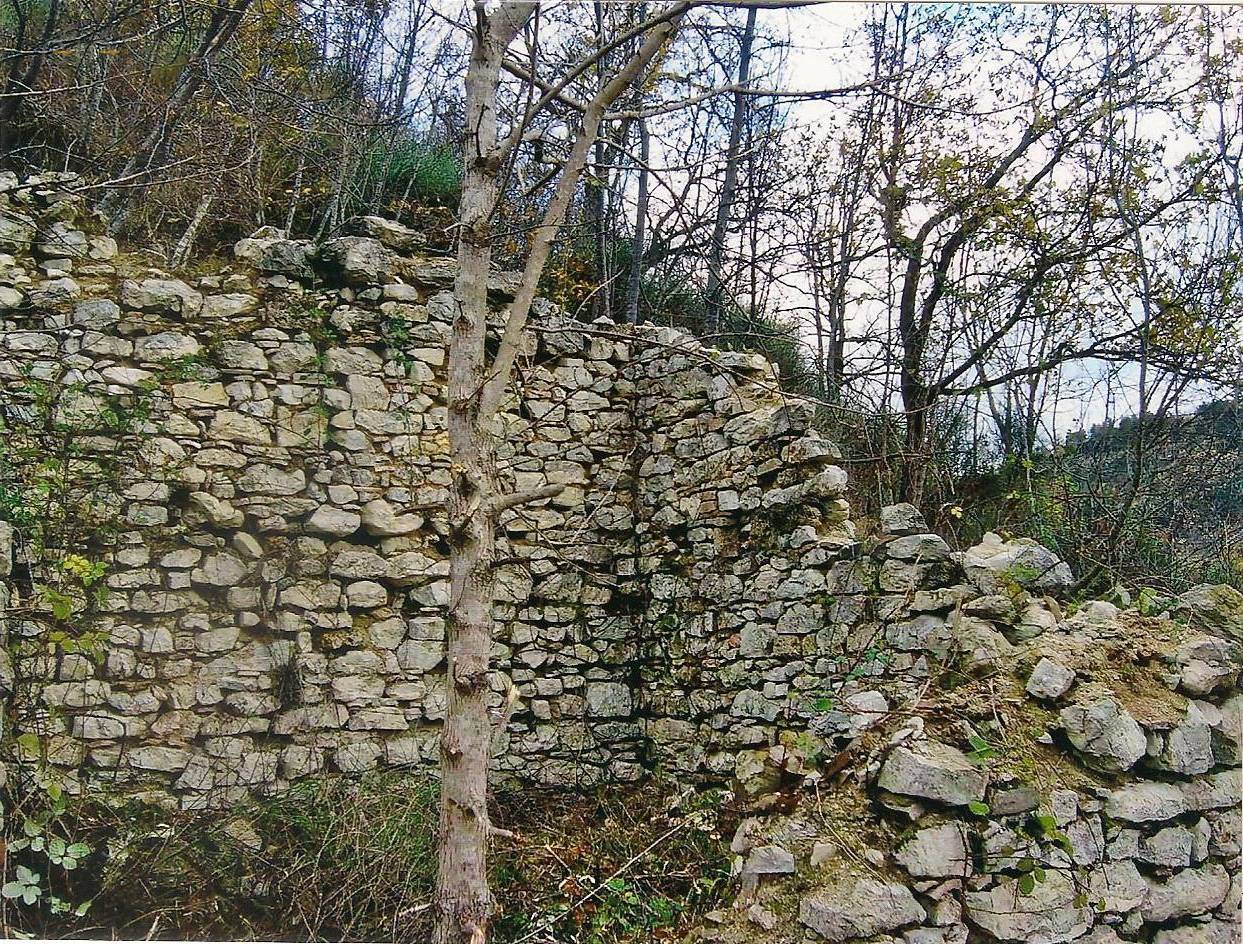 immagine annuncio 6 di 8