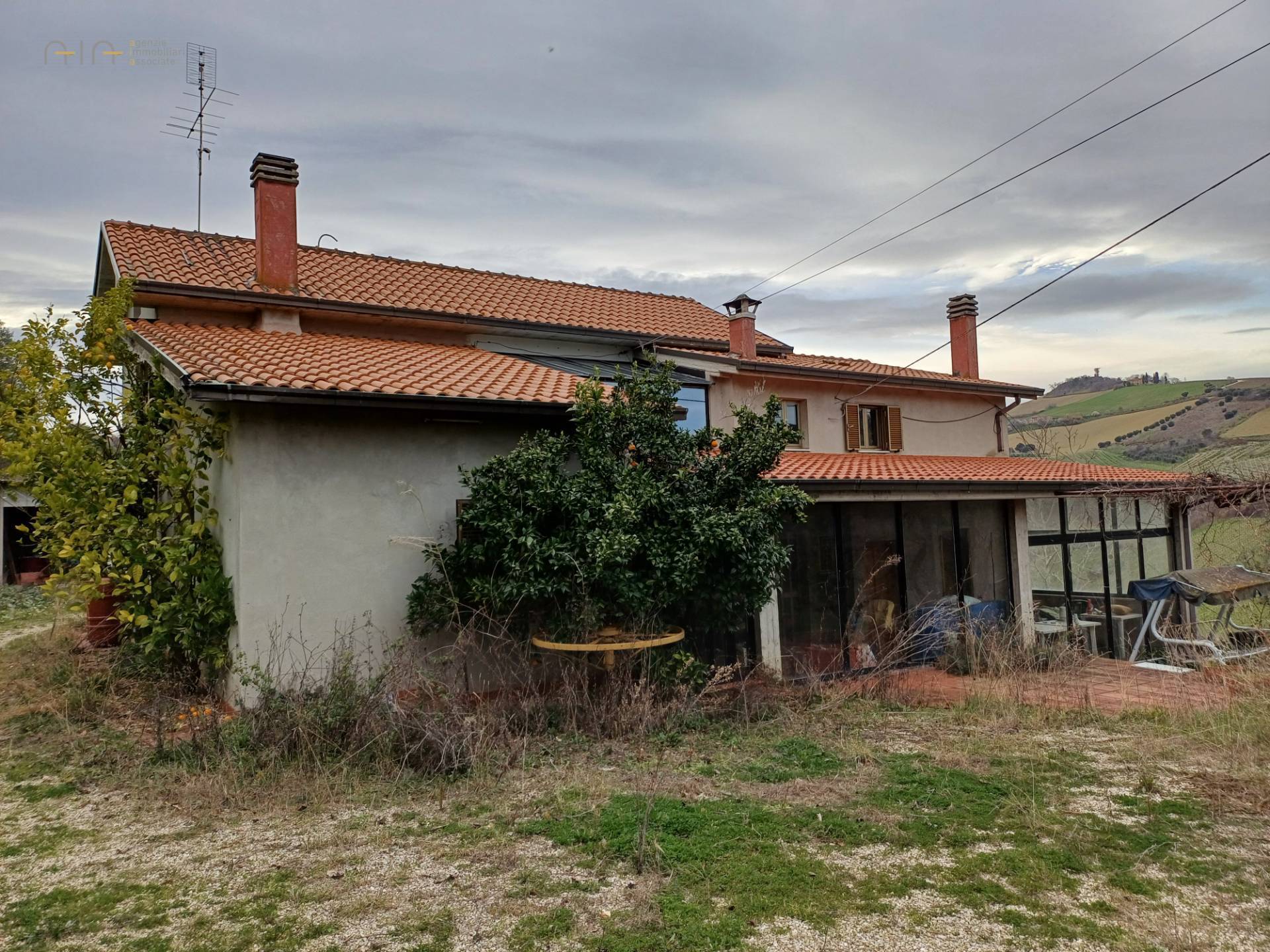 immagine annuncio 1 di 14