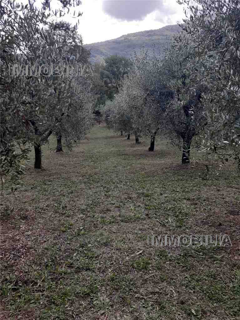 immagine annuncio 4 di 6