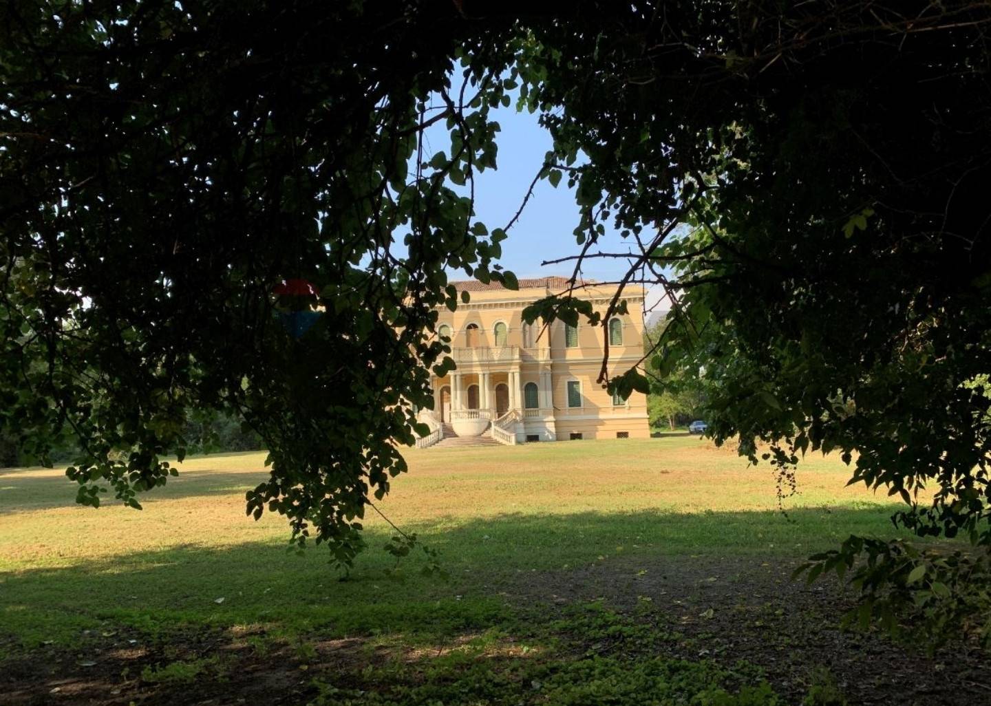 immagine annuncio 7 di 14