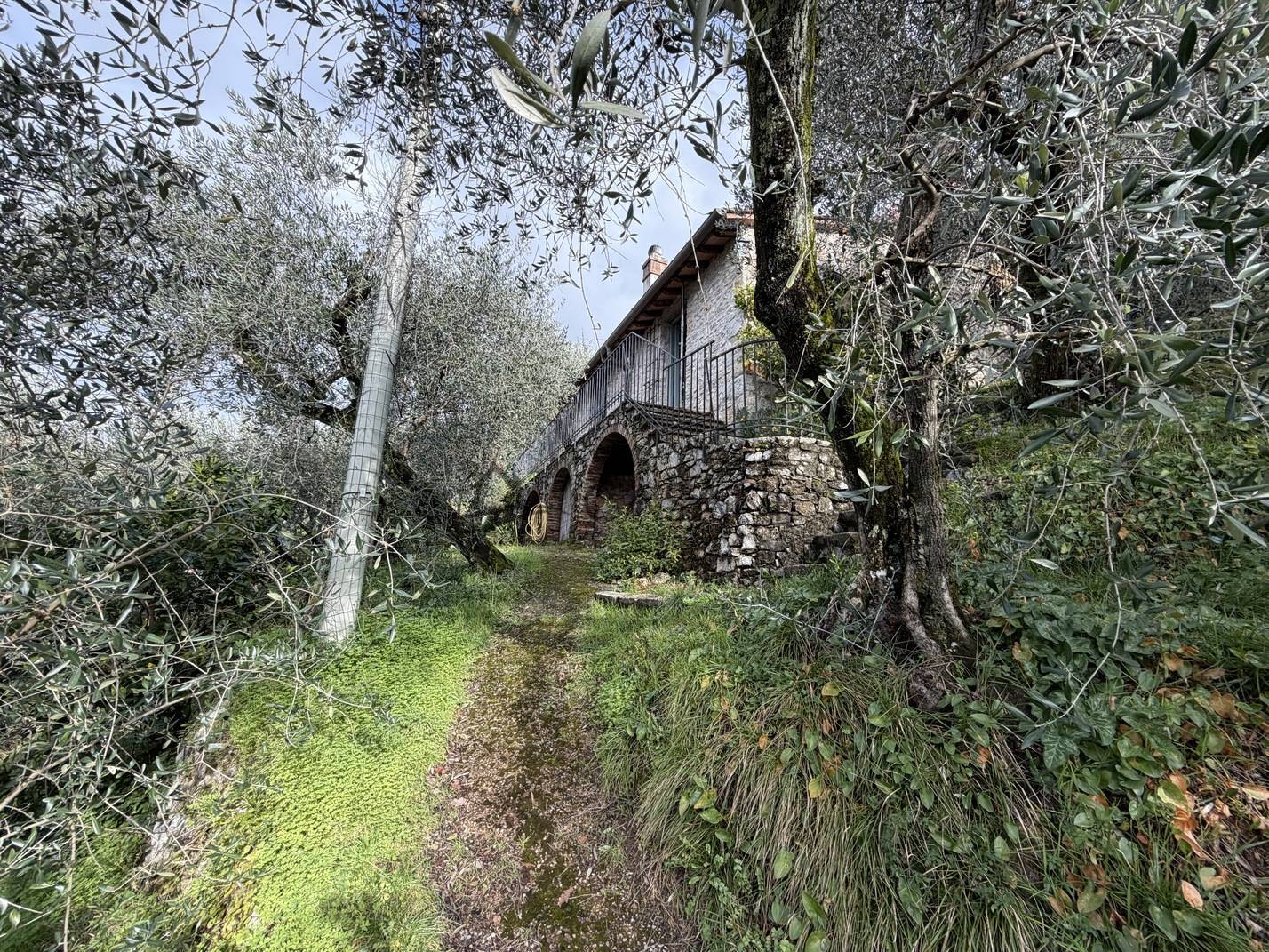 immagine annuncio 13 di 15