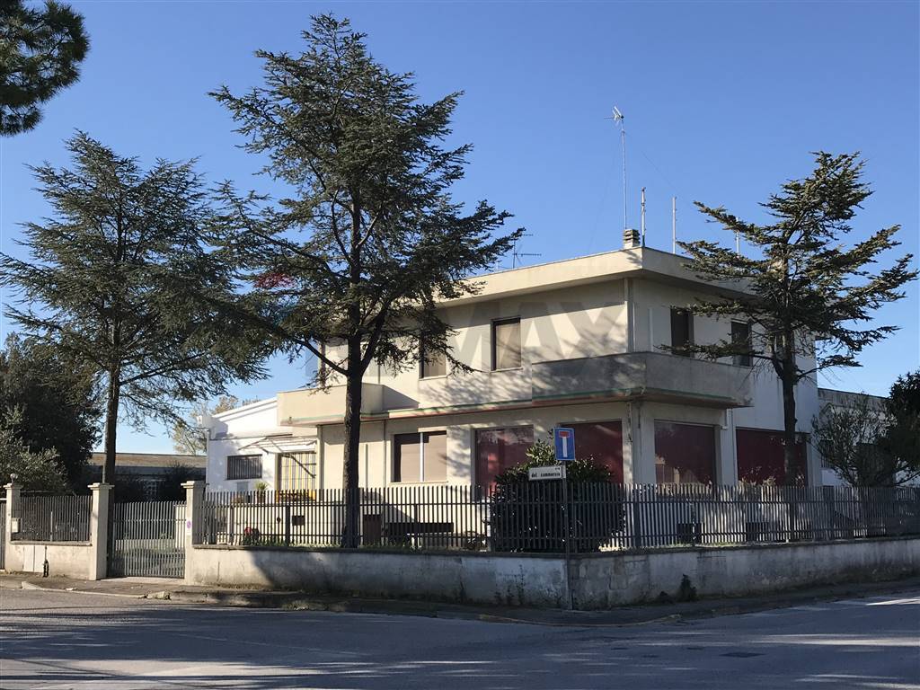 immagine annuncio 2 di 7